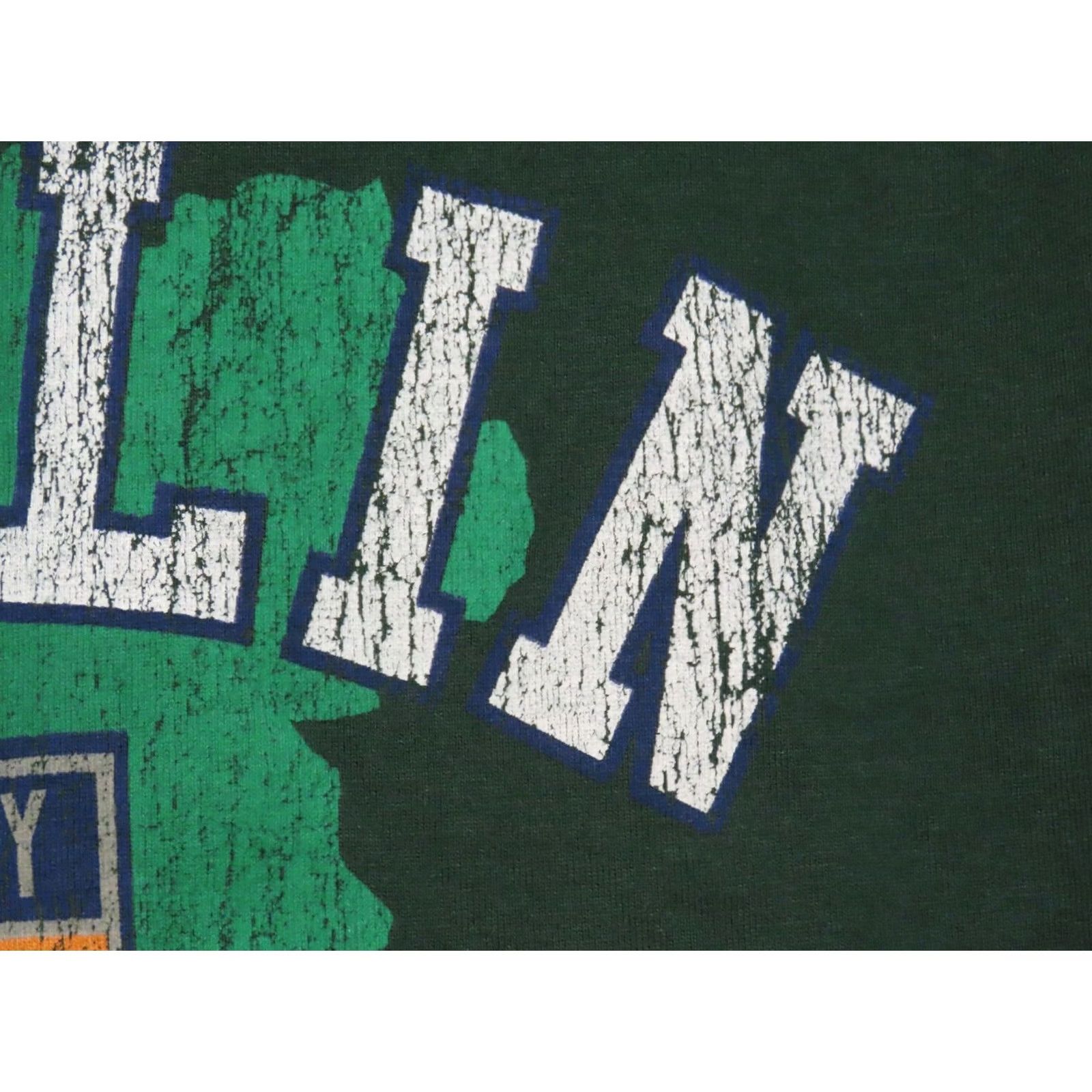 Vintage American Rag Cie T-Shirt Dublin Rugby Ireland Green Graphic Tee Mens M Size US M / EU 48-50 / 2 - 4 Thumbnail