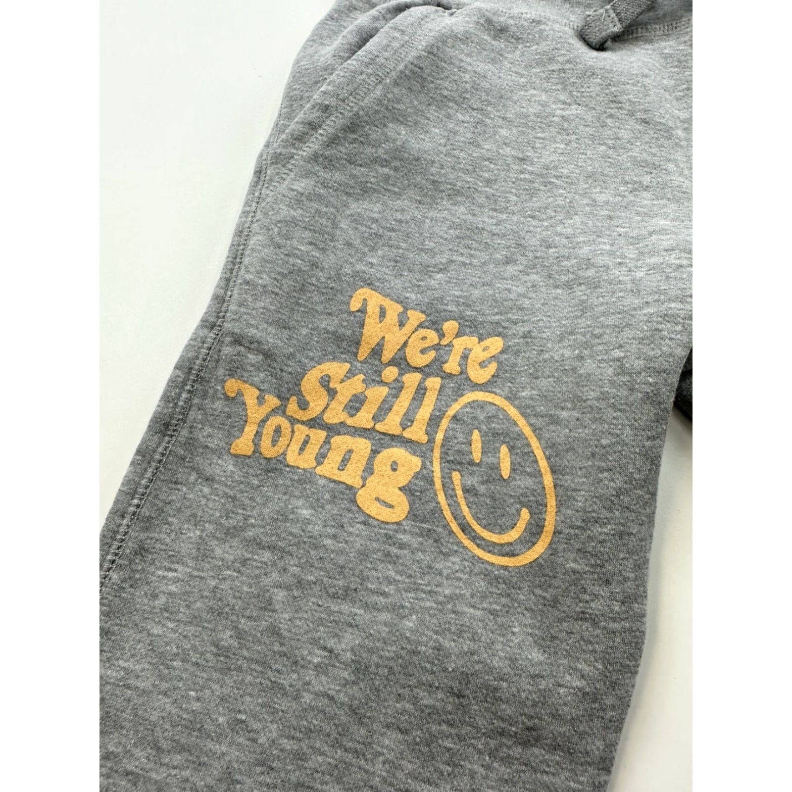 Vintage Fanjoy Sweatpants Men L Gray We’re Still Young Pockets Elastic Waist Comfort Fleece Activewear Pull On Size US 33 - 4 Thumbnail