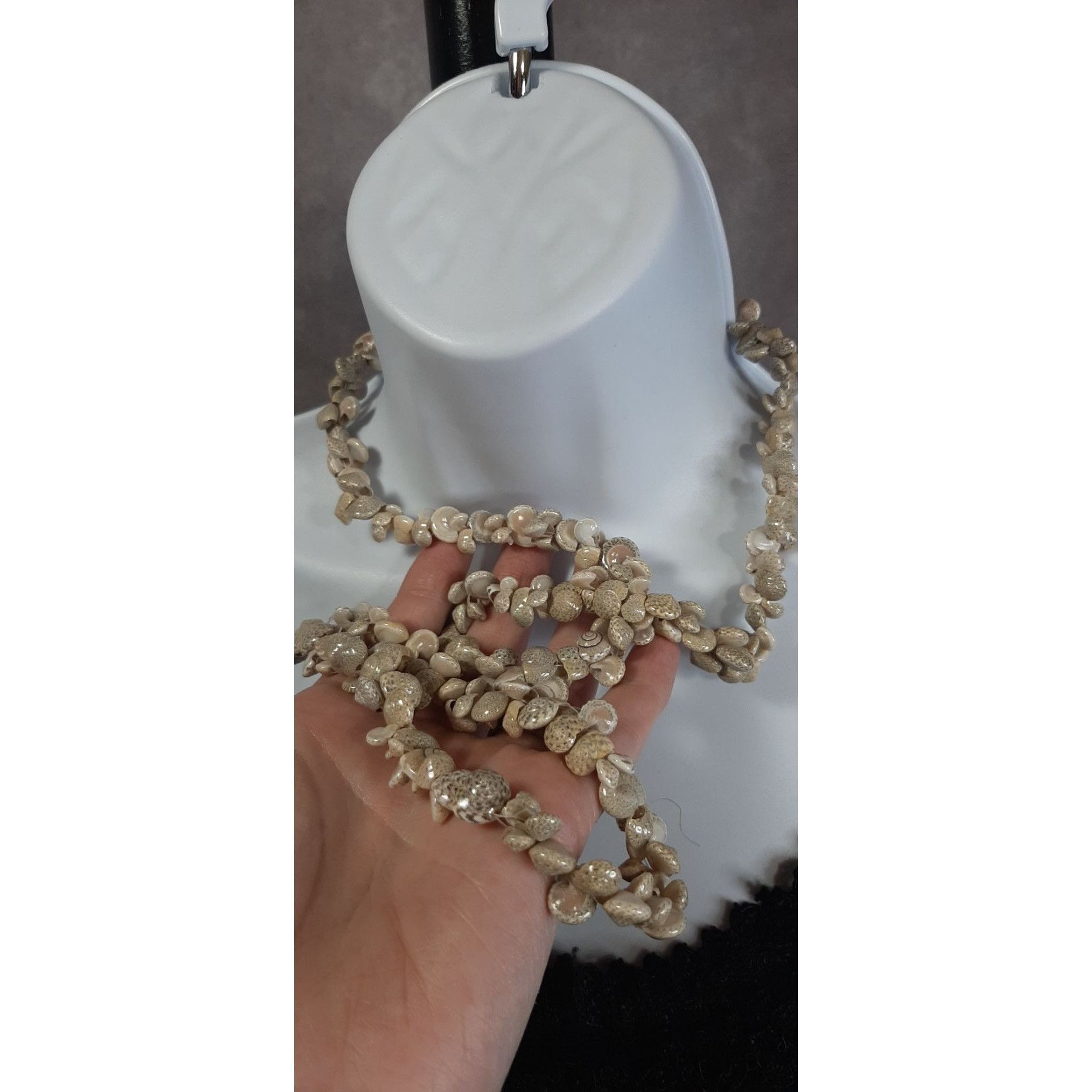 Other Beachy Braided Sundial Seashell Necklace Size ONE SIZE - 3 Thumbnail