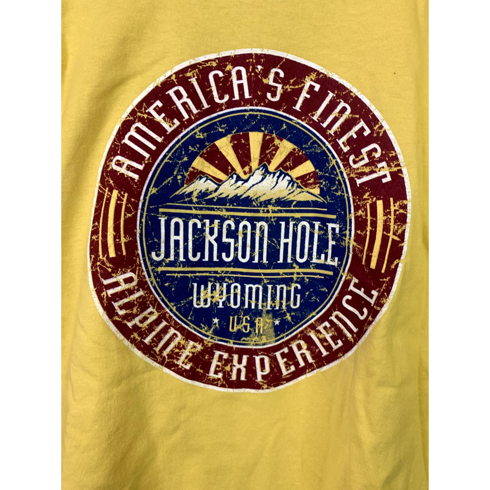 Anvil Vintage Jackson Hole Long Sleeve Shirt Wyoming Alpine M Size US M / EU 48-50 / 2 - 6 Thumbnail
