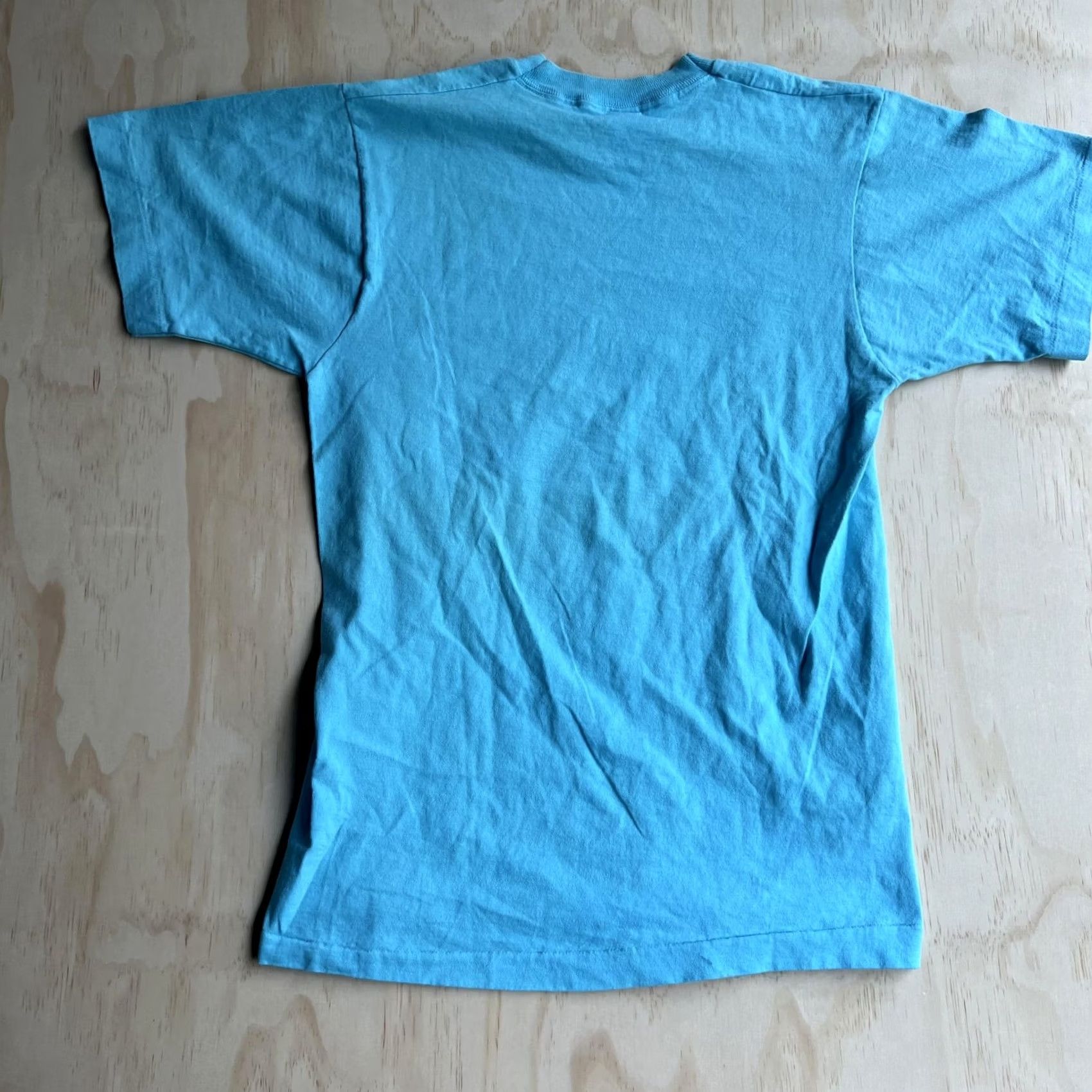 Fruit Of The Loom VINTAGE Fruit Of The Loom T-Shirt Mens Medium Myrtle Beach S. Carolina Graphic Print Crew Neck Short Sleeve USA Blue Turquoise Back Plain Front Size US M / EU 48-50 / 2 - 5 Thumbnail