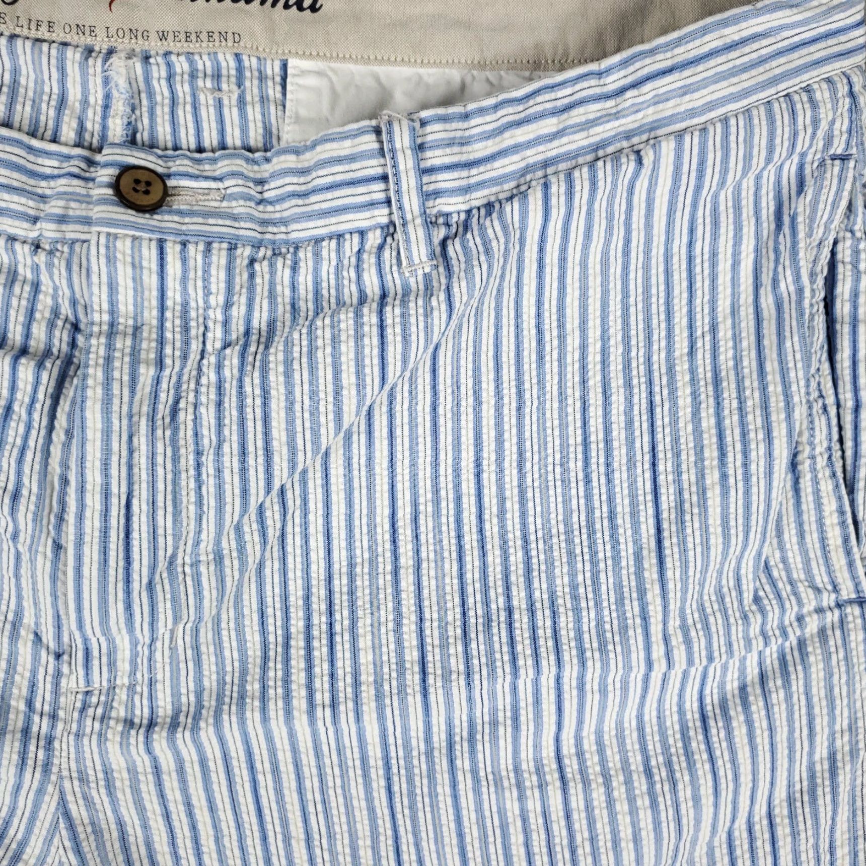Tommy Bahama VINTAGE Tommy Bahama Shorts Men Size 42 Blue Striped Seersucker Flat Front Chino Size US 42 / EU 58 - 3 Thumbnail