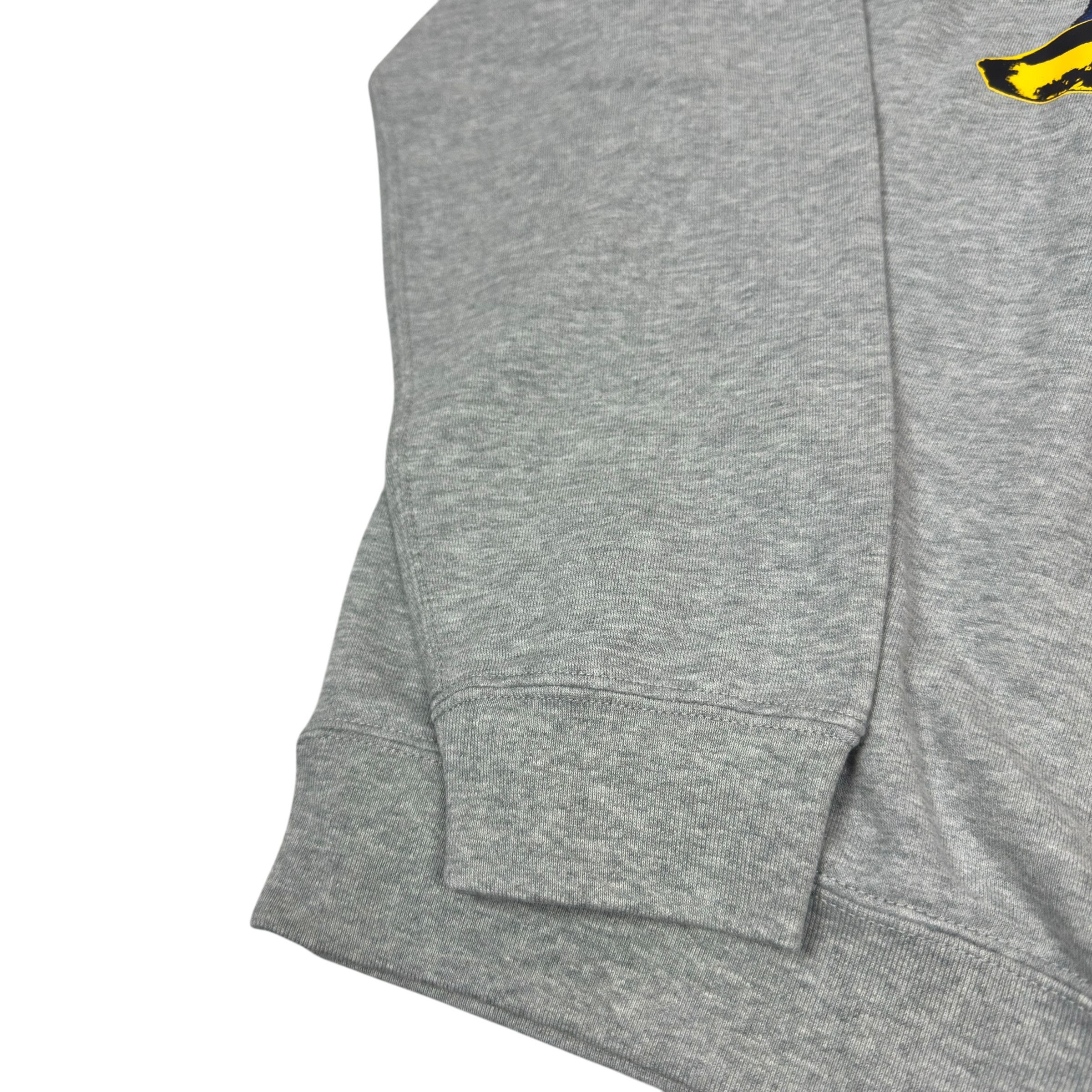 Kaws × Uniqlo Uniqlo KAWS + Warhol UT Men Gray Cotton Graphic Sweatshirt M Size US M / EU 48-50 / 2 - 5 Thumbnail