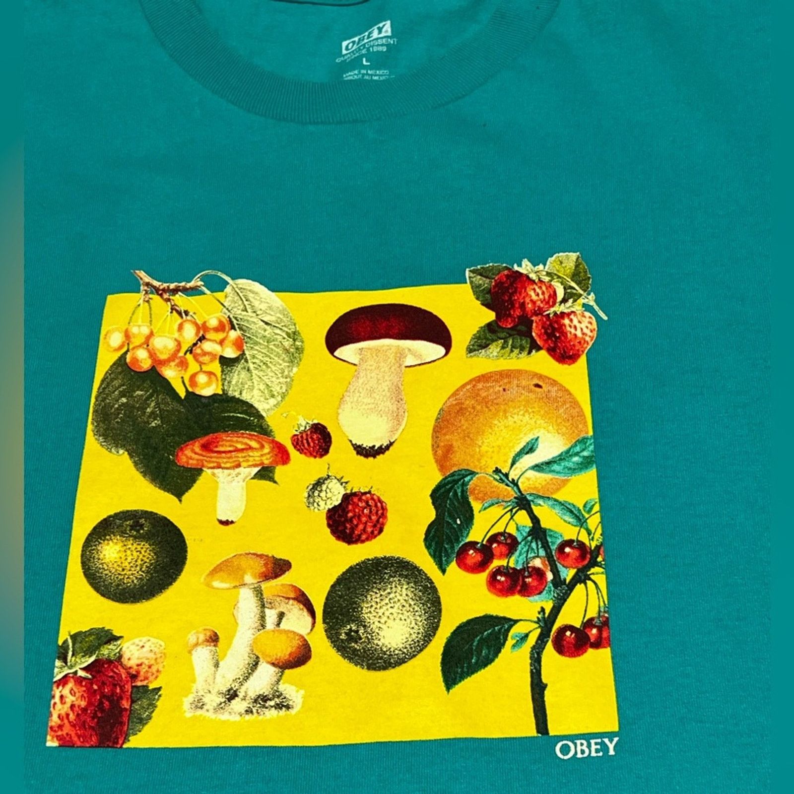 Obey Obey Men’s T-Shirt Mushroom Fruit & Plant Aqua Skating Shirt Size US L / EU 52-54 / 3 - 3 Thumbnail