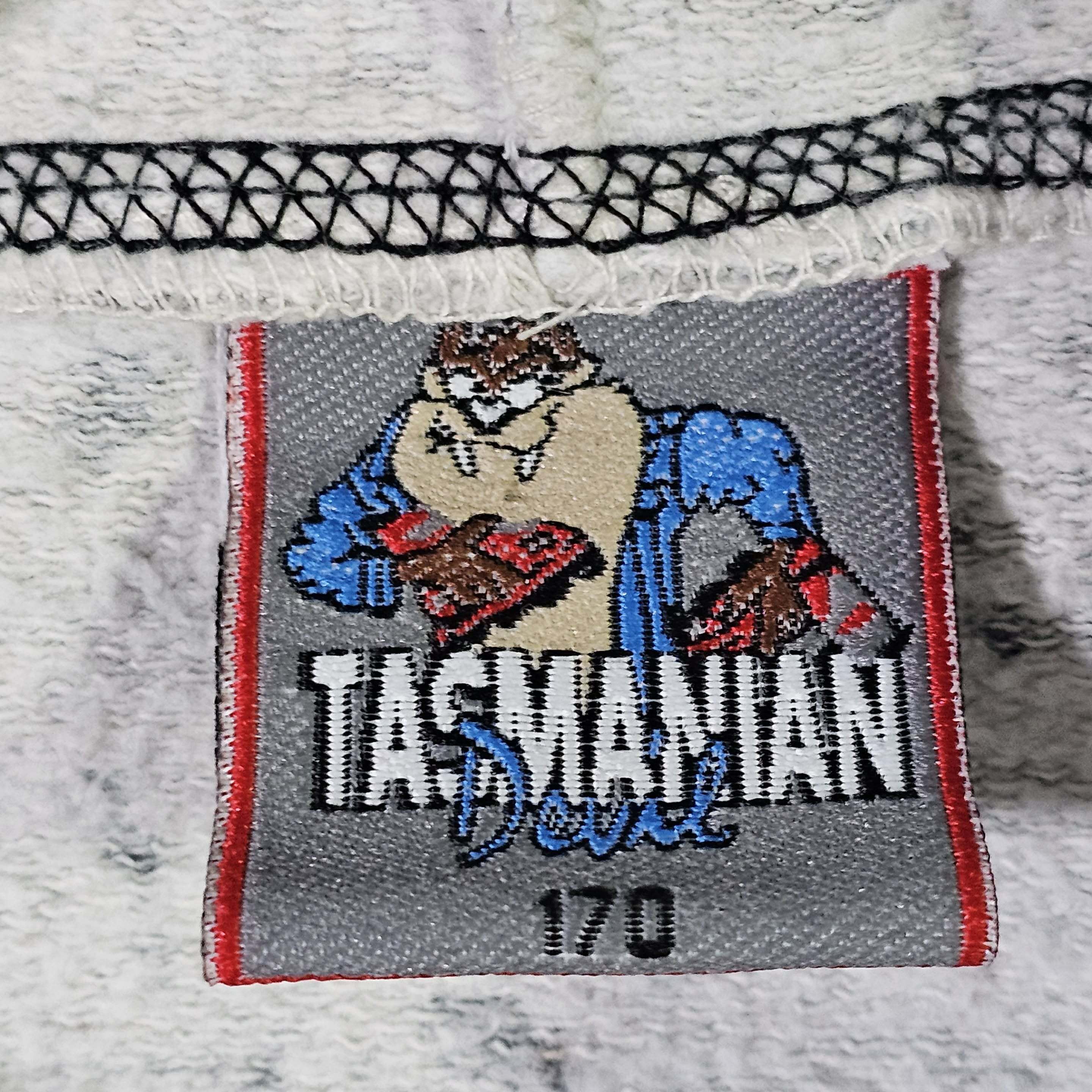 Vintage Taz Vintage 90s Looney Tunes Snowboard Hoodie Sweatshirt Size US M / EU 48-50 / 2 - 5 Thumbnail