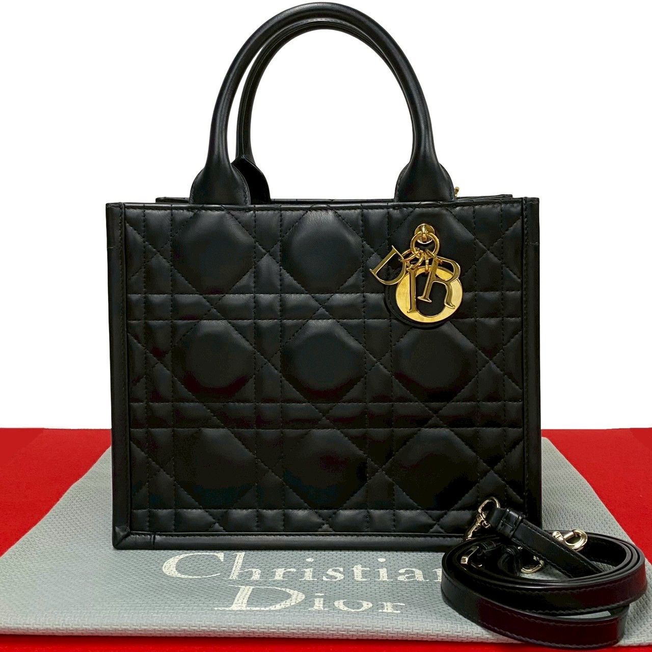 Dior Christian Dior Book Tote Leather 2Way Bag Leather Shoulder Bag in Black, Women's