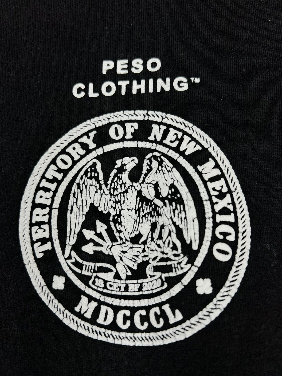 Designer × Peso Peso Clothing Oversized T Shirt Back logo Size US M / EU 48-50 / 2 - 8 Thumbnail