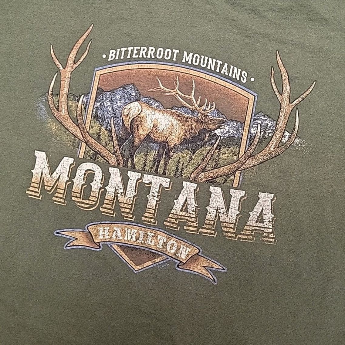 Hamilton Vintage Hamilton Montana Shirt Mens L Green Bitteroot Valley Outdoors Nature USA Western Graphic Print Crew Neck Cotton Jersey T-Shirt Boys Mens Size US L / EU 52-54 / 3 - 3 Thumbnail