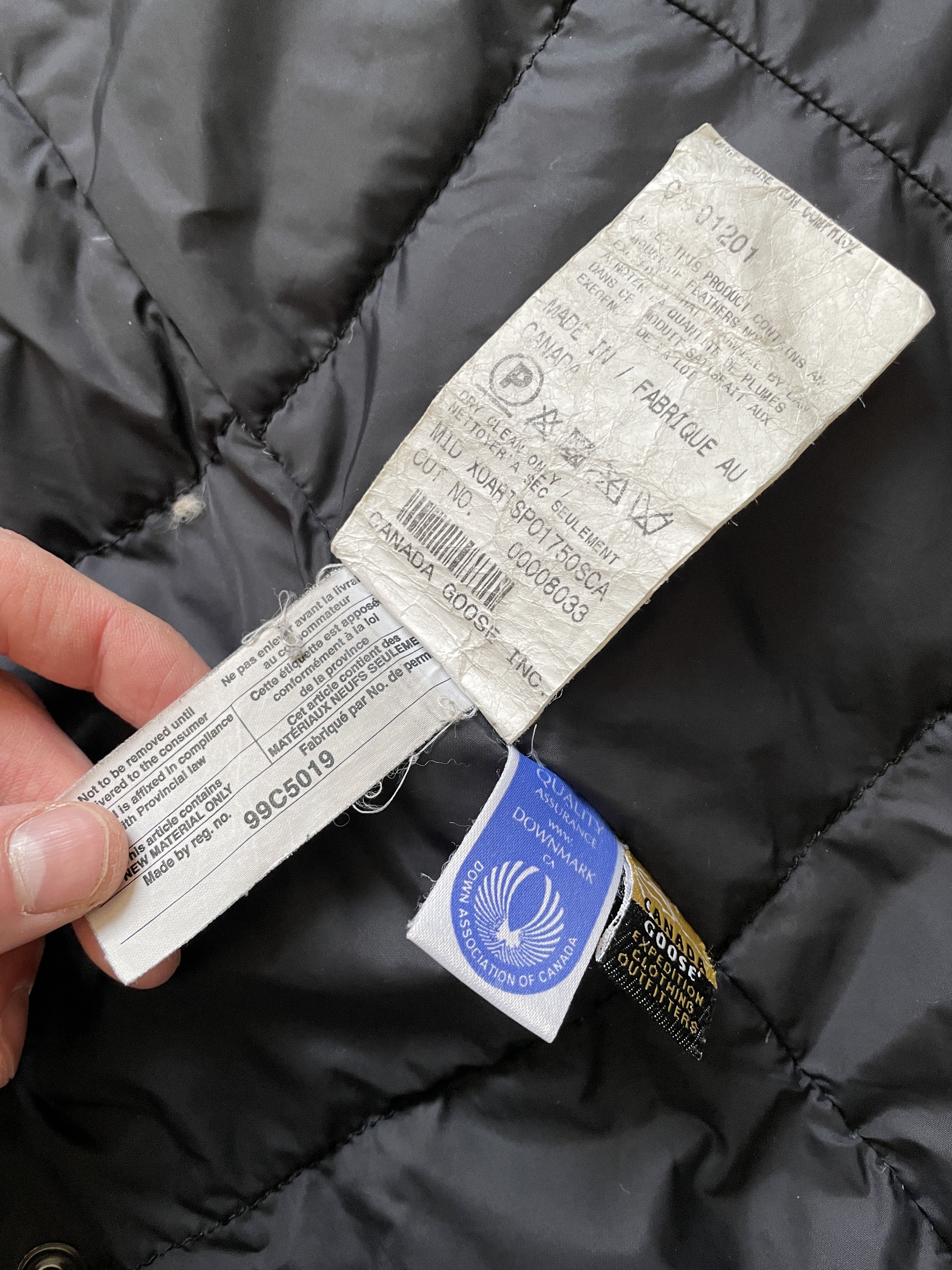 Clothing Canada Goose 99c5019 Yellow CANADA GOOSE BEIGE KENSINGTON