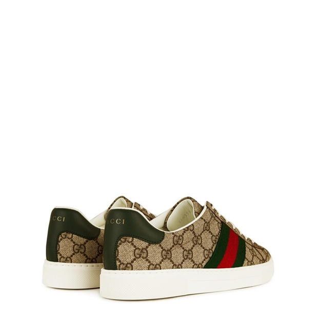 Gucci Men'S Web Canvas Ace Trainers Size US 10 / EU 43 - 5 Thumbnail