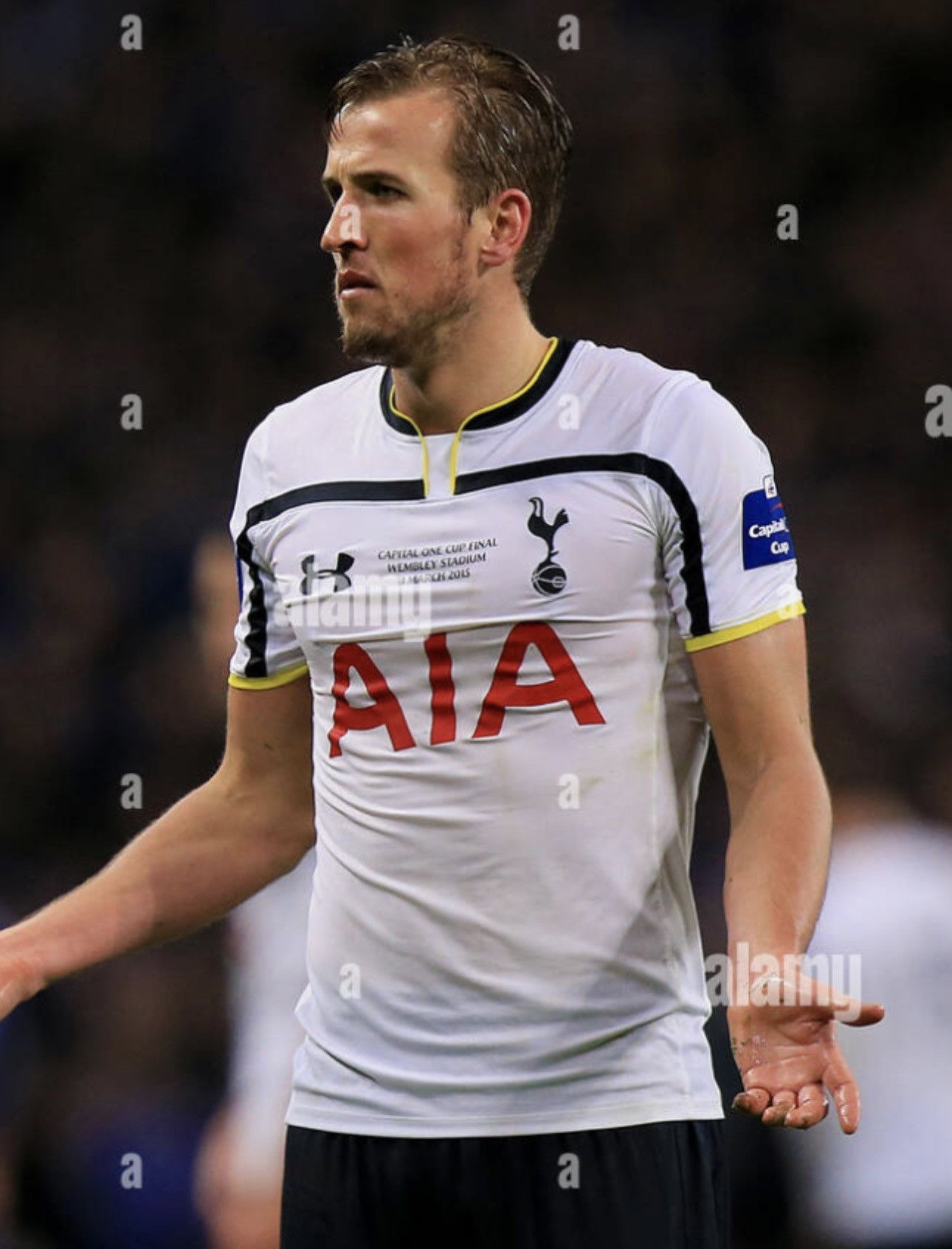 Under Armour × Vintage Vintage Tottenham Spurs soccer jersey Final Capital one cup Size US M / EU 48-50 / 2 - 2 Thumbnail