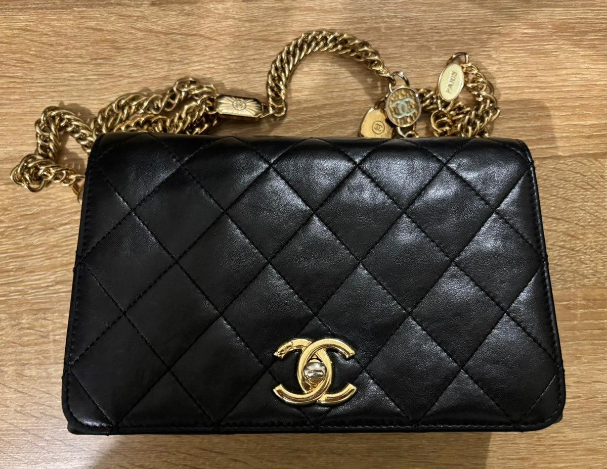 Chanel Chanel Seasonal Mini Flap Handbag Size ONE SIZE - 8 Thumbnail