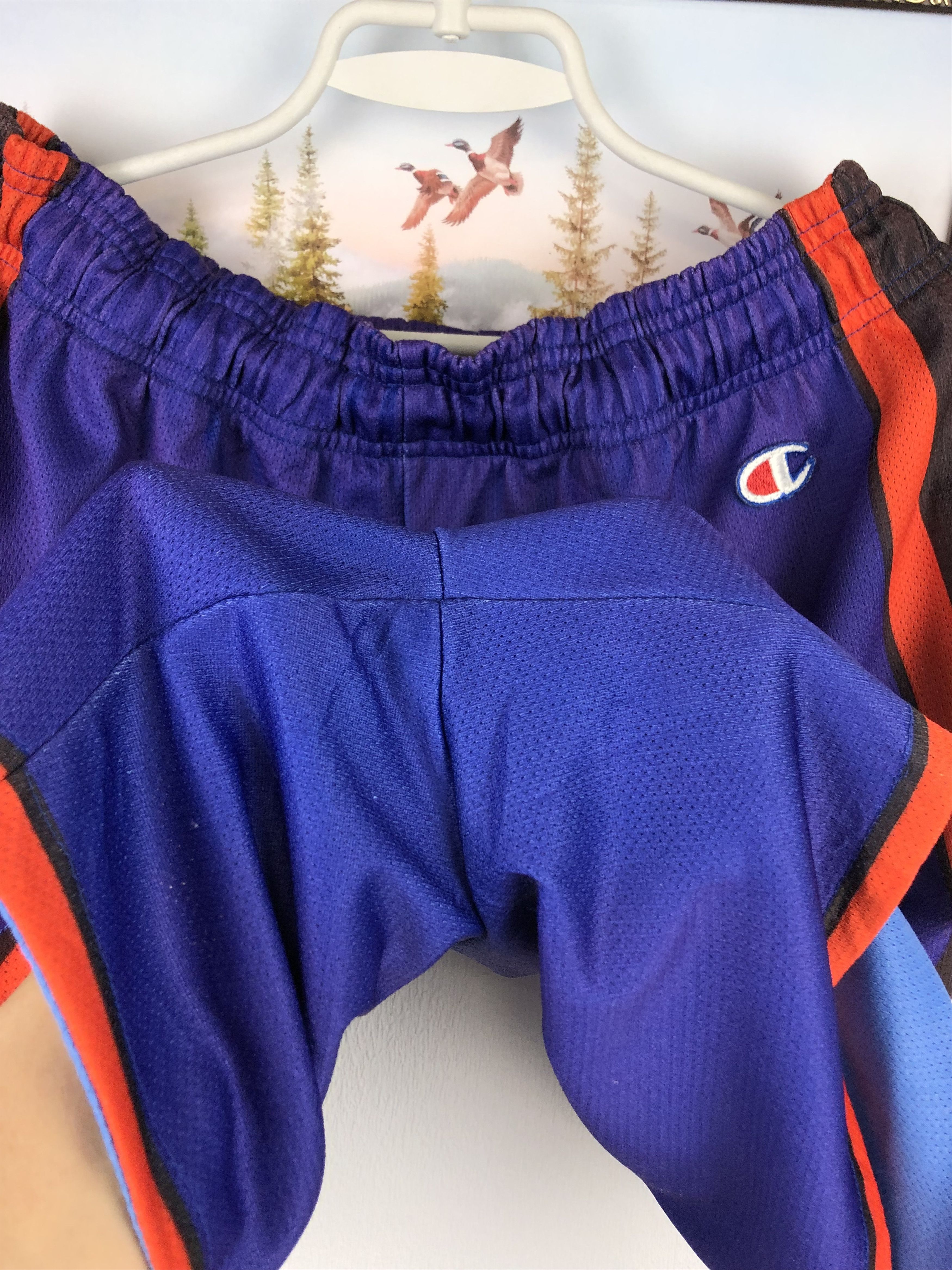 Champion Vintage 90's Champion New York Knicks NBA Shorts Mens Rare Size US 38 / EU 54 - 4 Thumbnail