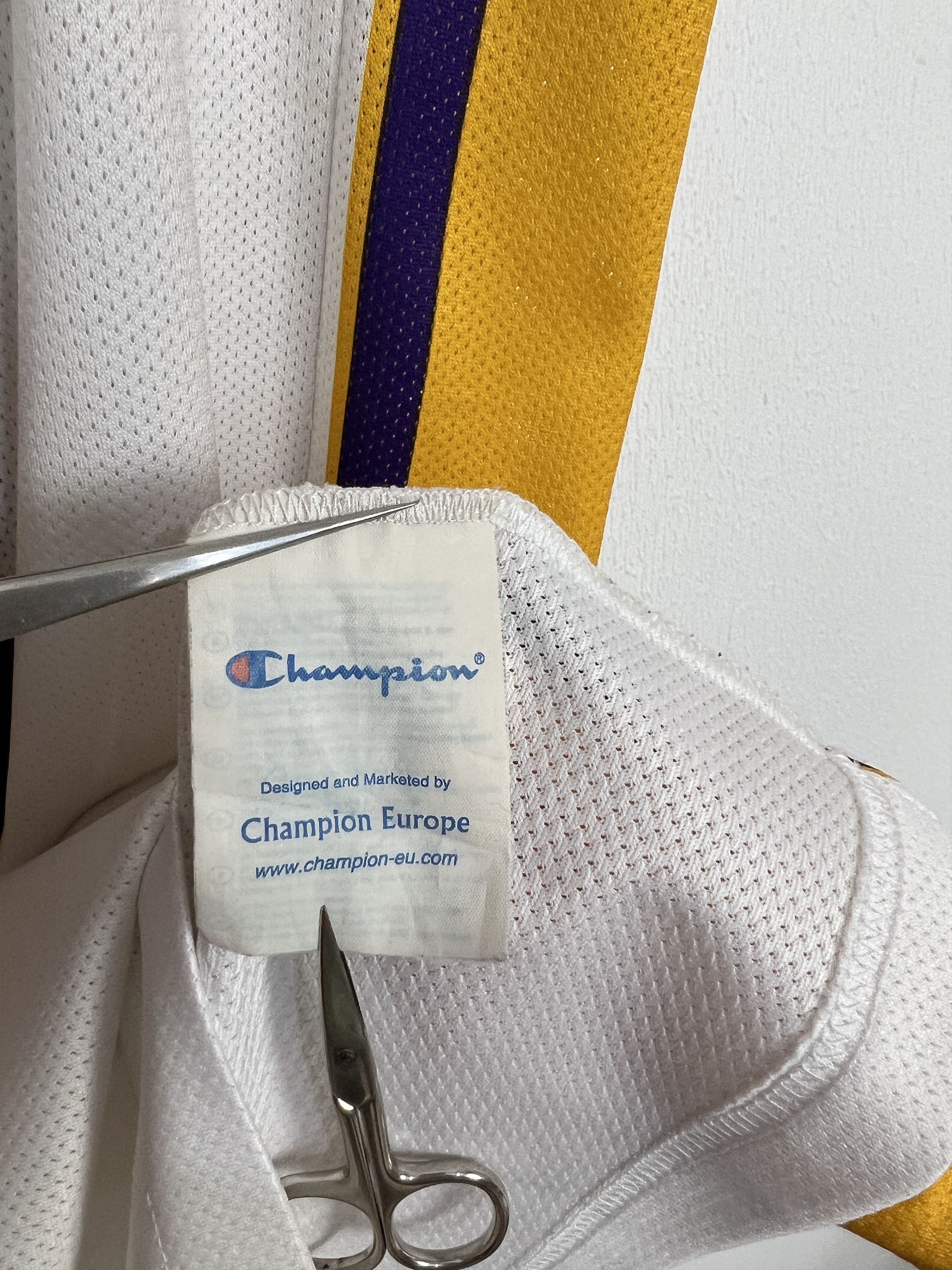 Champion Vintage 90's Champion LA Los Angeles Lakers Gasol Jersey Size US L / EU 52-54 / 3 - 7 Thumbnail