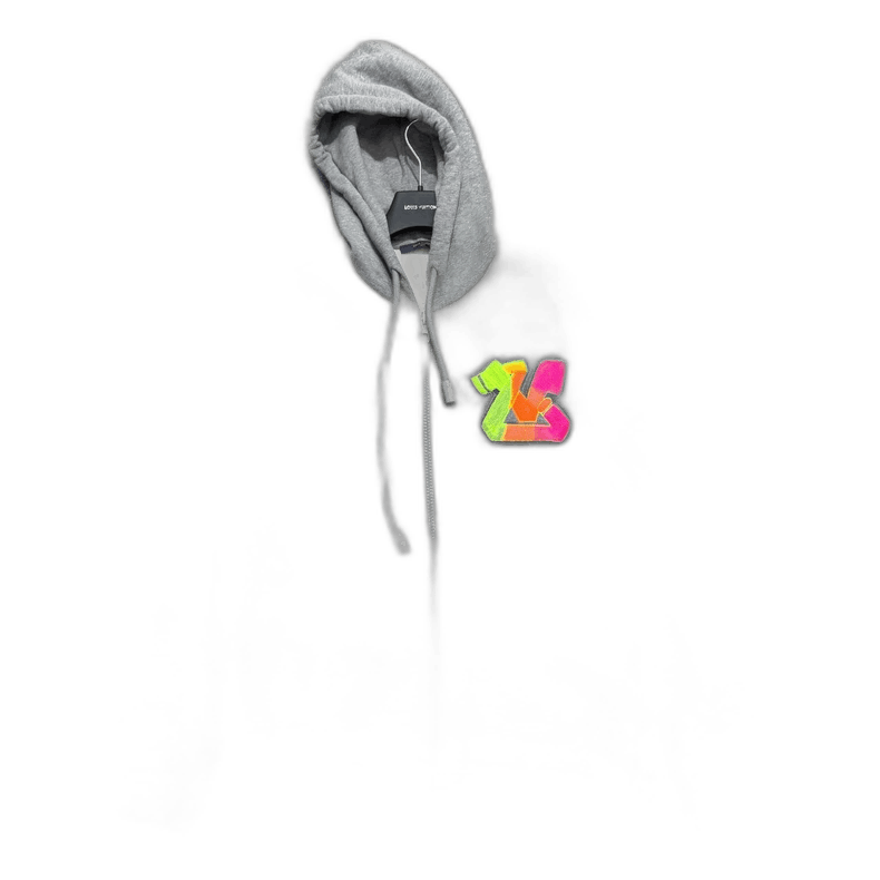 Louis Vuitton Louis Vuitton 3D Embroidered Hooded Sweatshirt-yf Size US XL / EU 56 / 4 - 1 Thumbnail