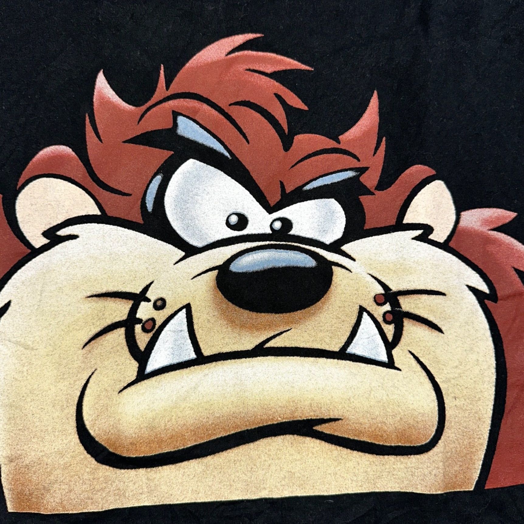 Vintage VINTAGE Warner Bros T-Shirt Men L Black TAZ Tazmanian Devil WTF You Looking At 1997 90s 80s 70s Graphic Print Short Sleeve Crew Neck Size US L / EU 52-54 / 3 - 2 Thumbnail