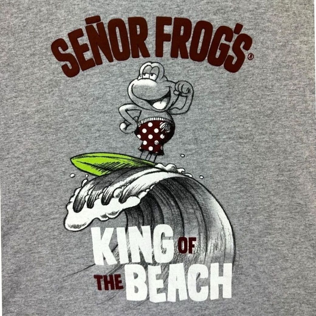 Vintage Senior Frogs T-Shirt Mens L Gray Graphic Print Short Sleeve Tee Casual EUC Size US L / EU 52-54 / 3 - 5 Thumbnail