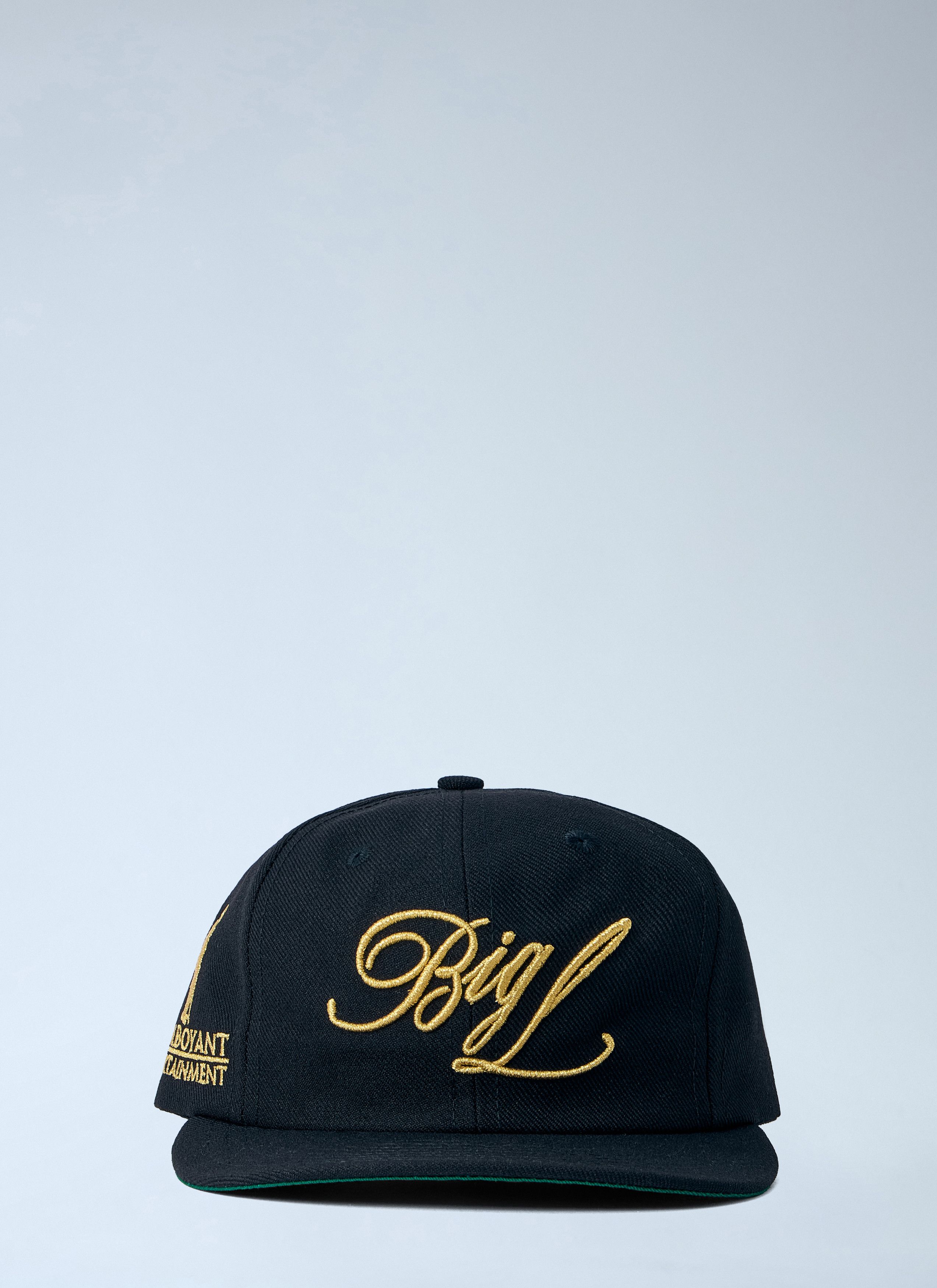 Awake NY Flamboyant Entertainment 6 Panel Cap Size ONE SIZE - 1 Thumbnail