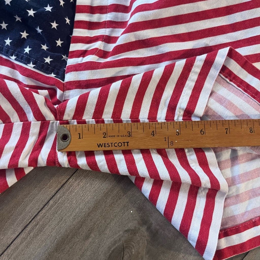 Chubbies Chubbies Mericas Multicolor American Flag Casual Shorts Men Size US 42 / EU 58 - 4 Thumbnail