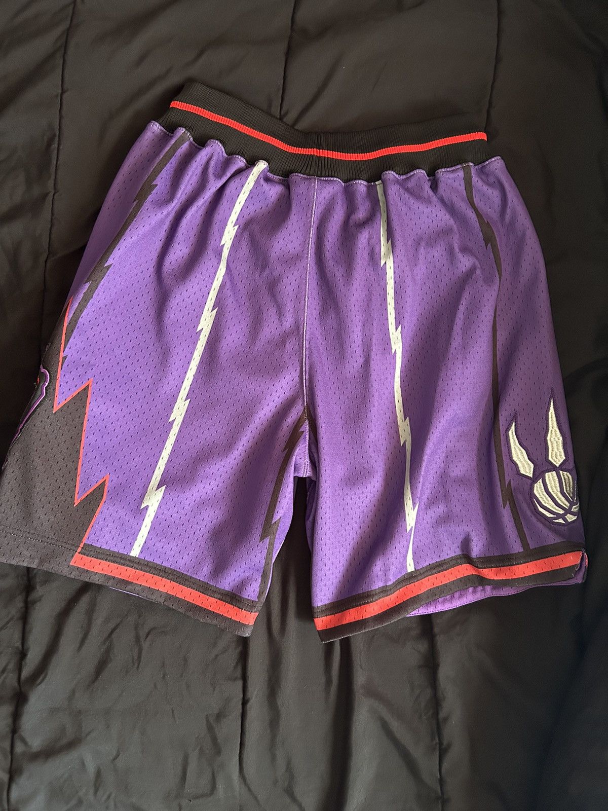 Mitchell & Ness Authentic Mitchell&ness 98-99 Toronto raptors shorts Size US 40 / EU 56 - 2 Thumbnail