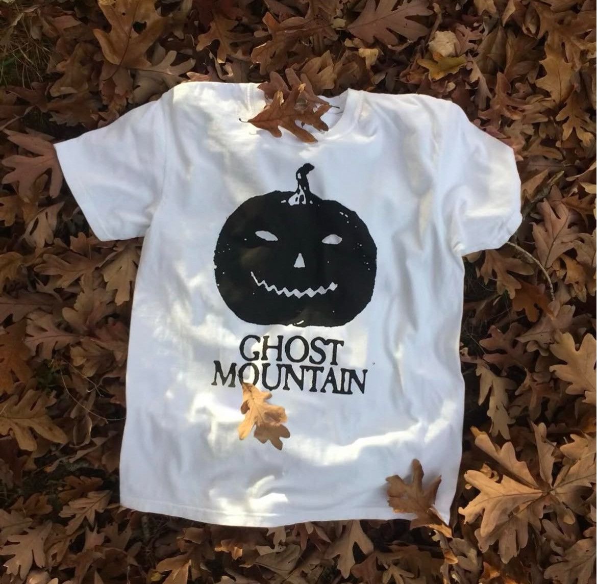 Haunted Mound Haunted Mound Ghost Mountain Not Worth this Pain Pumpkin Tee Size US L / EU 52-54 / 3 - 1 Thumbnail