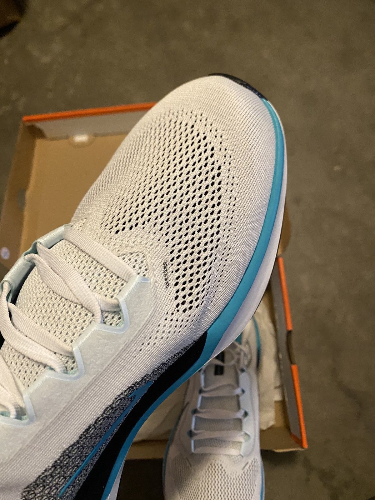 Nike Nike Pegasus 41 Air Zoom Dusty Cactus Size US 12.5 / EU 45-46 - 10 Thumbnail
