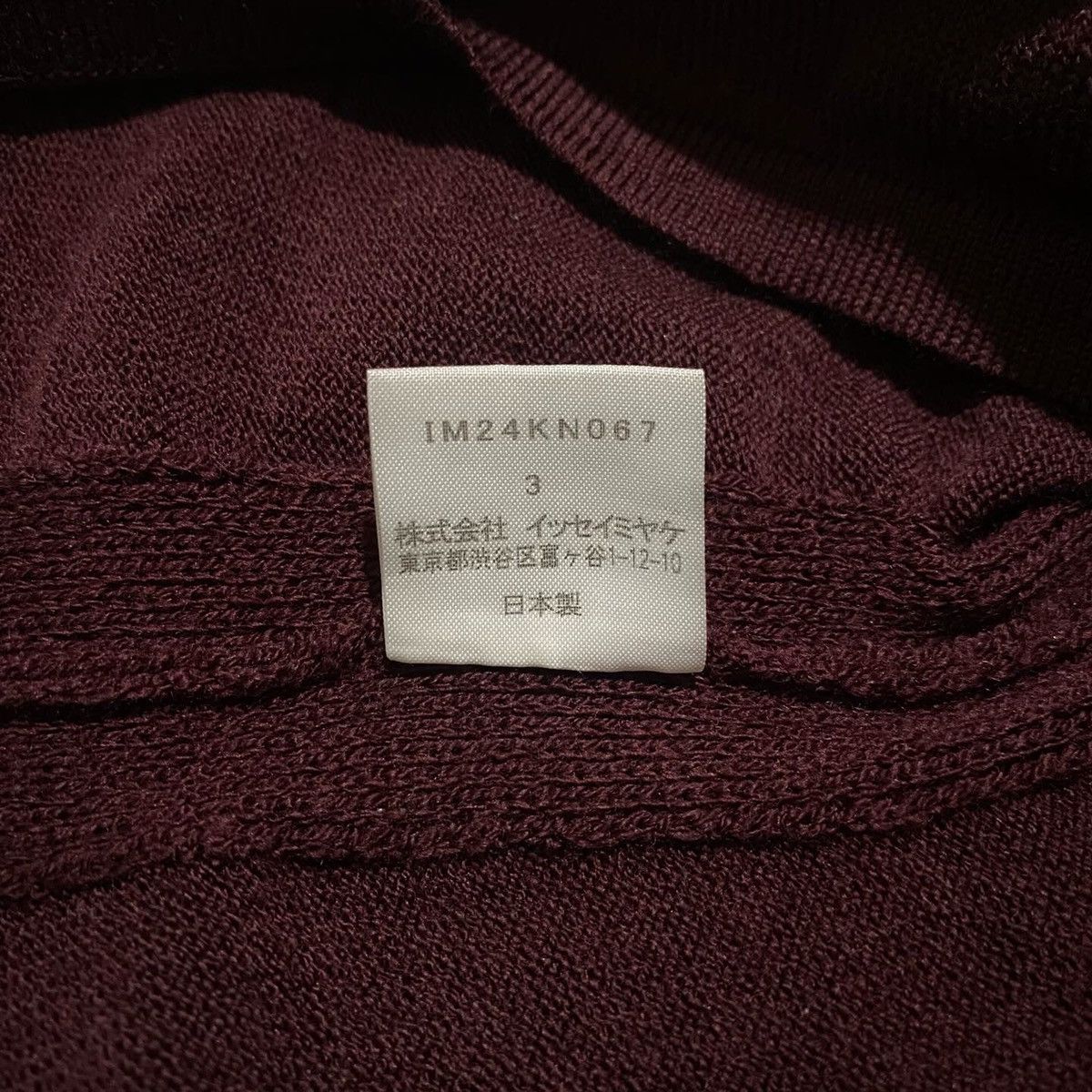 Homme Plisse Issey Miyake × Issey Miyake × Pleats Please Issey Miyake ISSEY MIYAKE Size L / US 10 / IT 46 - 3 Thumbnail