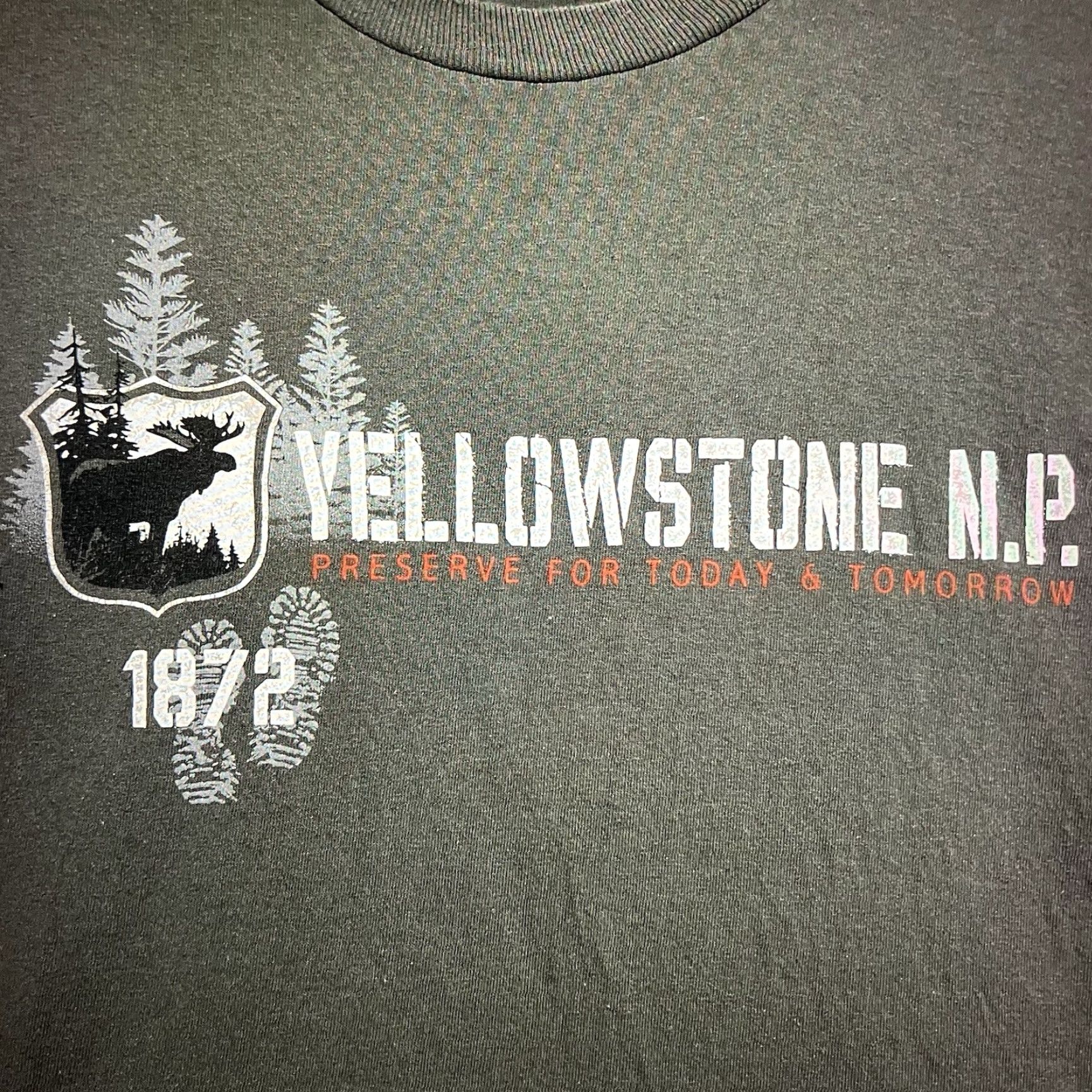 Vintage VINTAGE Prairie Mountain Nature T-Shirt Large Green Yellowstone 90s Hiking Outdoors Mens Size US L / EU 52-54 / 3 - 3 Thumbnail