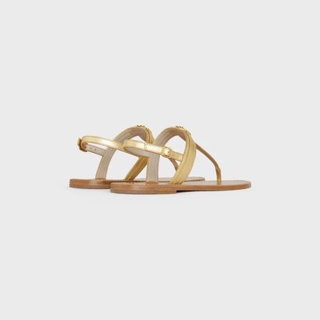 Celine o1bcso1str0724 Sandal Flat 05 Metalized Calfskin in Gold Size US 7 / IT 37 - 5 Thumbnail