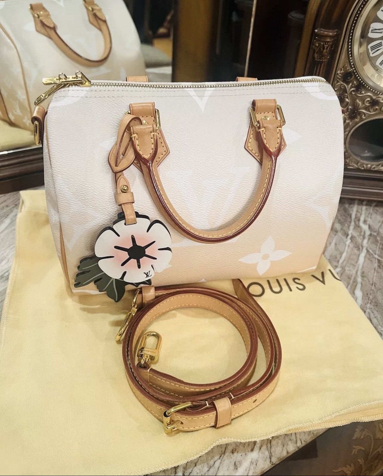 Louis Vuitton Louis Vuitton Speedy 25 Bandouliere Summer Giant Size ONE SIZE - 1 Thumbnail