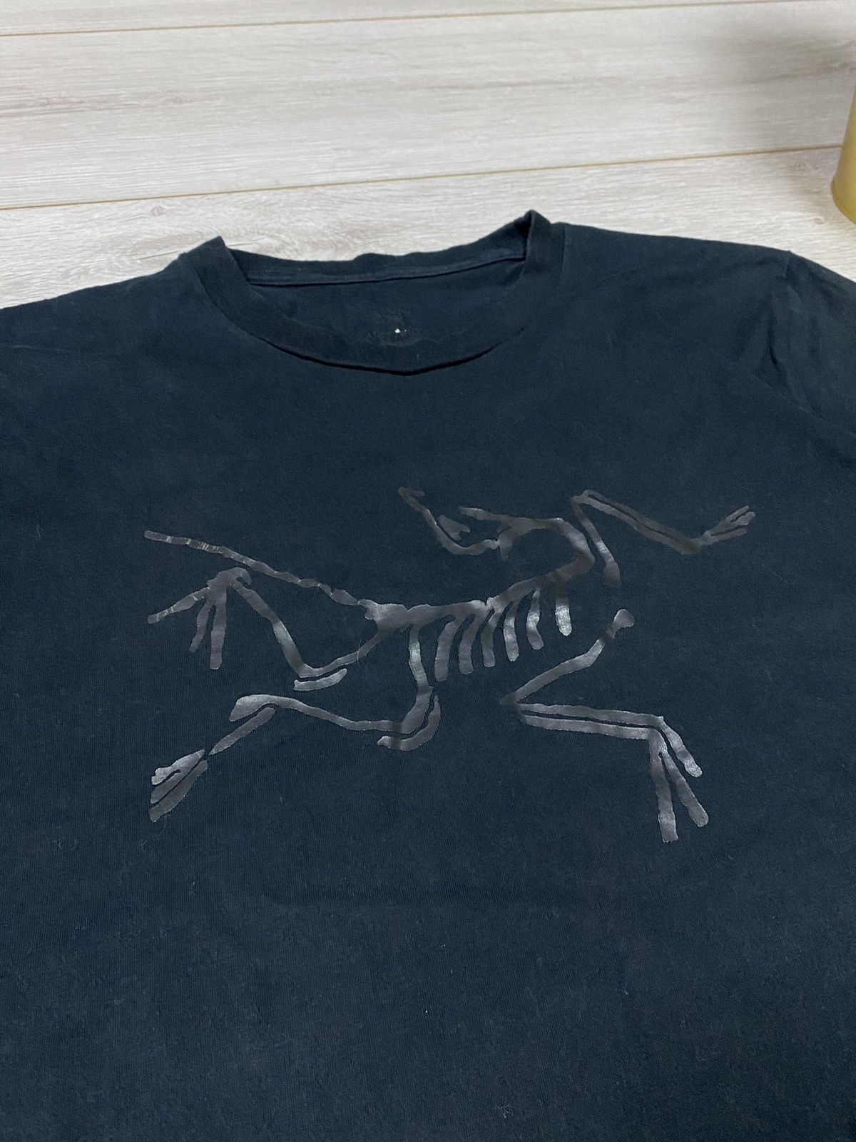Arc'teryx Arcteryx vintage shimmering big bird logo t-shirt Size US M / EU 48-50 / 2 - 3 Thumbnail