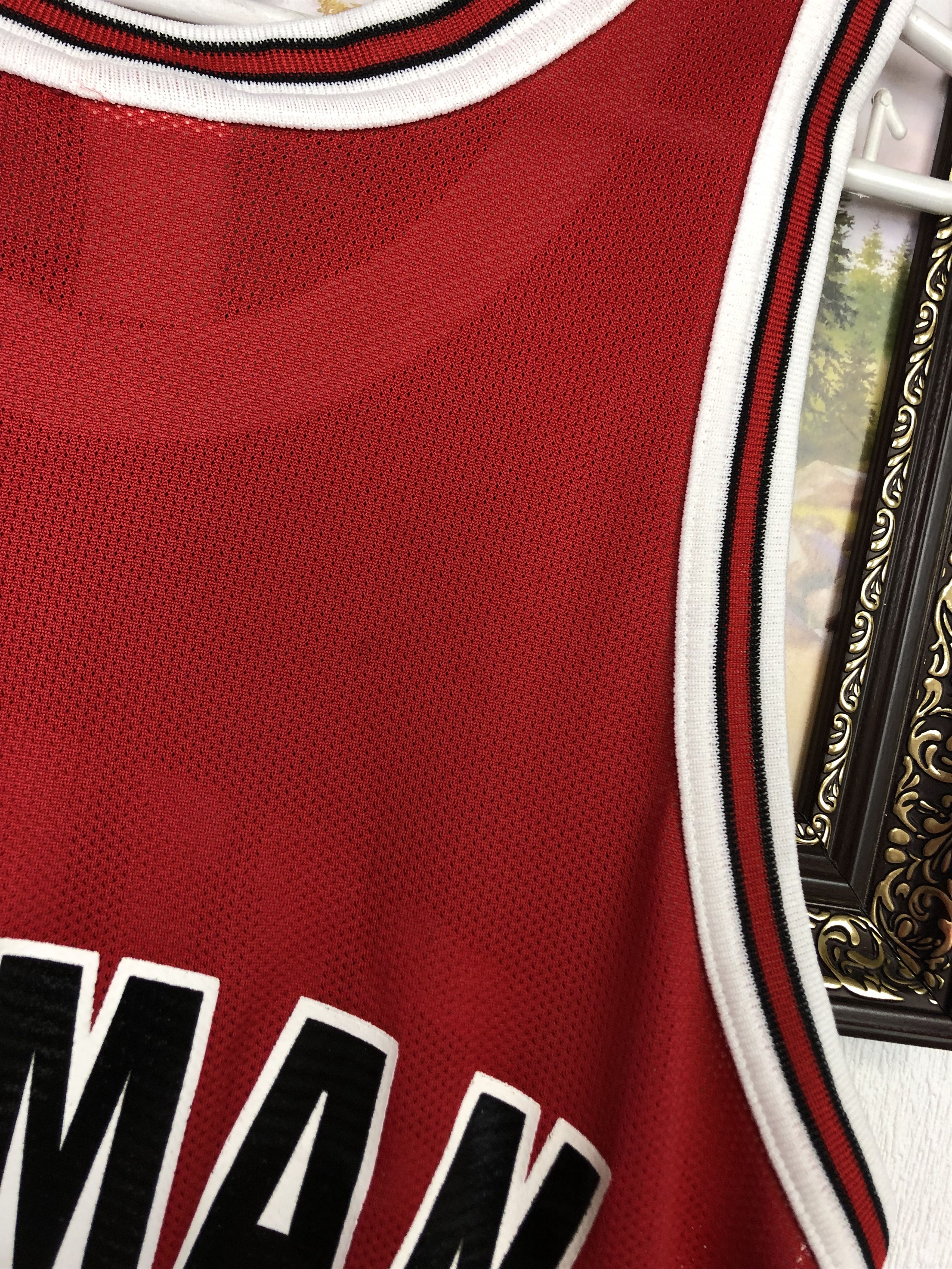 Champion Vintage Champion Dennis Rodman Chicago Bulls Jersey NBA Size US M / EU 48-50 / 2 - 10 Thumbnail