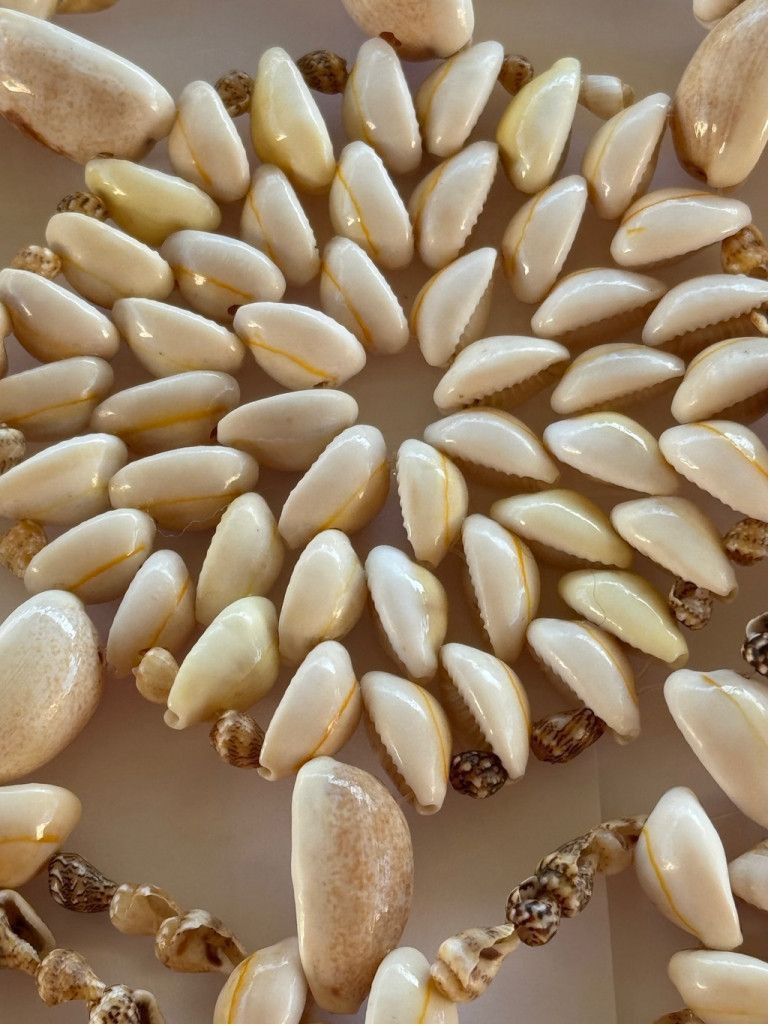 Other Late 20th Century Natural Cowrie Shell Wall Decor Size ONE SIZE - 5 Thumbnail