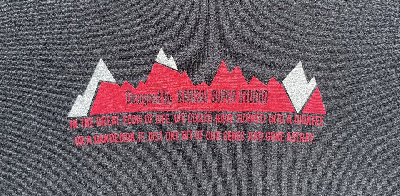 Kansai Yamamoto 🔥Accept Binding Offer🔥 Kansai Kids Size US L / EU 52-54 / 3 - 4 Thumbnail