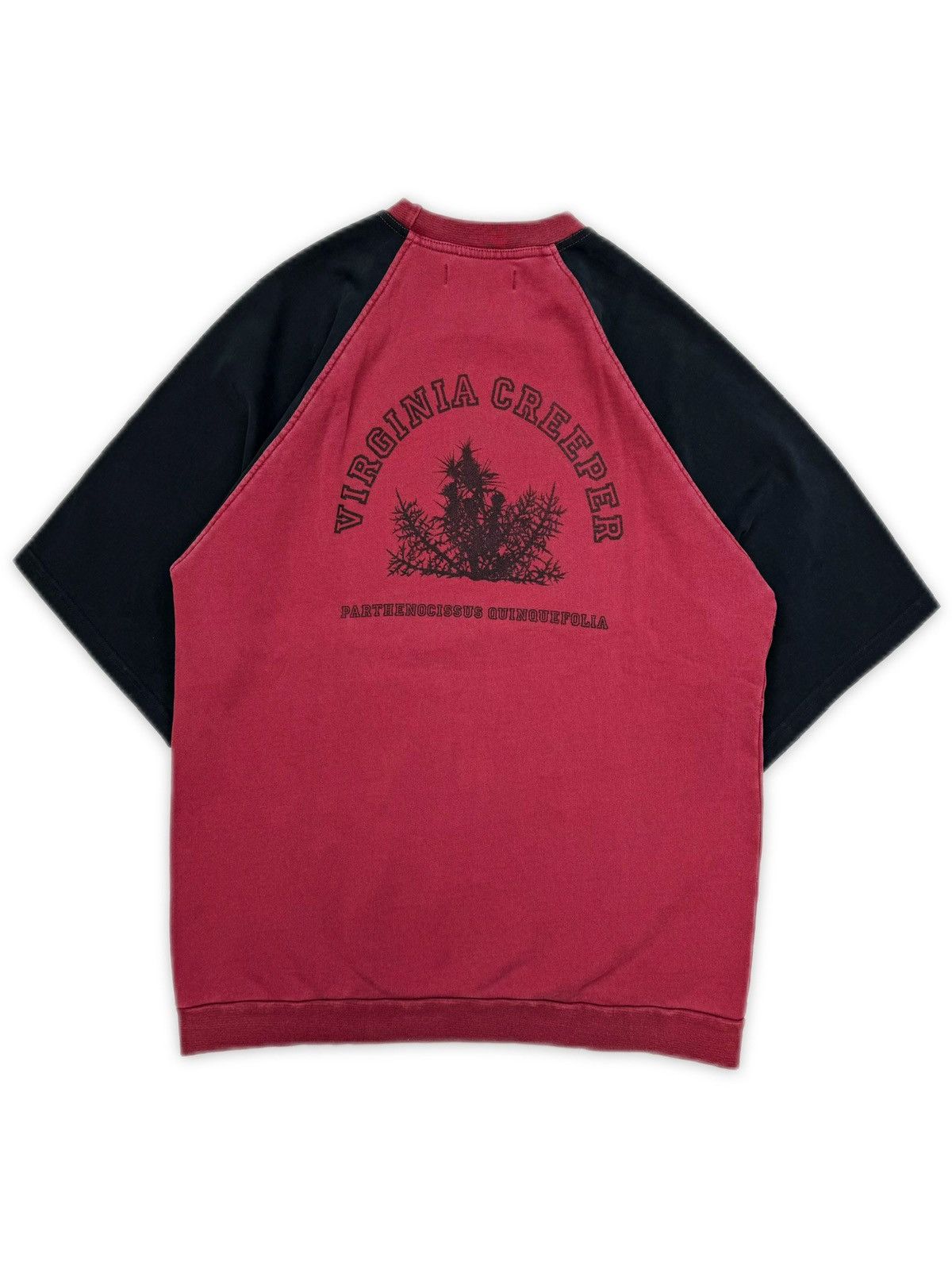 AW02 Raf Simons 'Virginia Creeper' Red Raglan T-Shirt