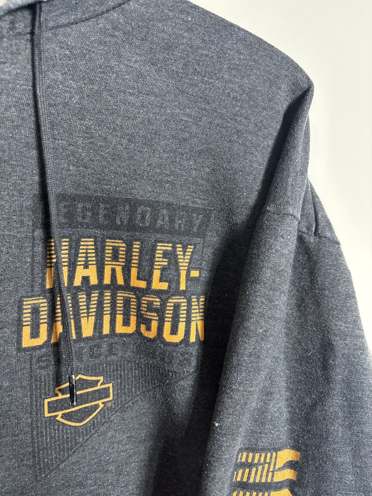 Harley Davidson Harley Davidson Motorcycles Hoodie Full Zip Large Size US L / EU 52-54 / 3 - 2 Thumbnail