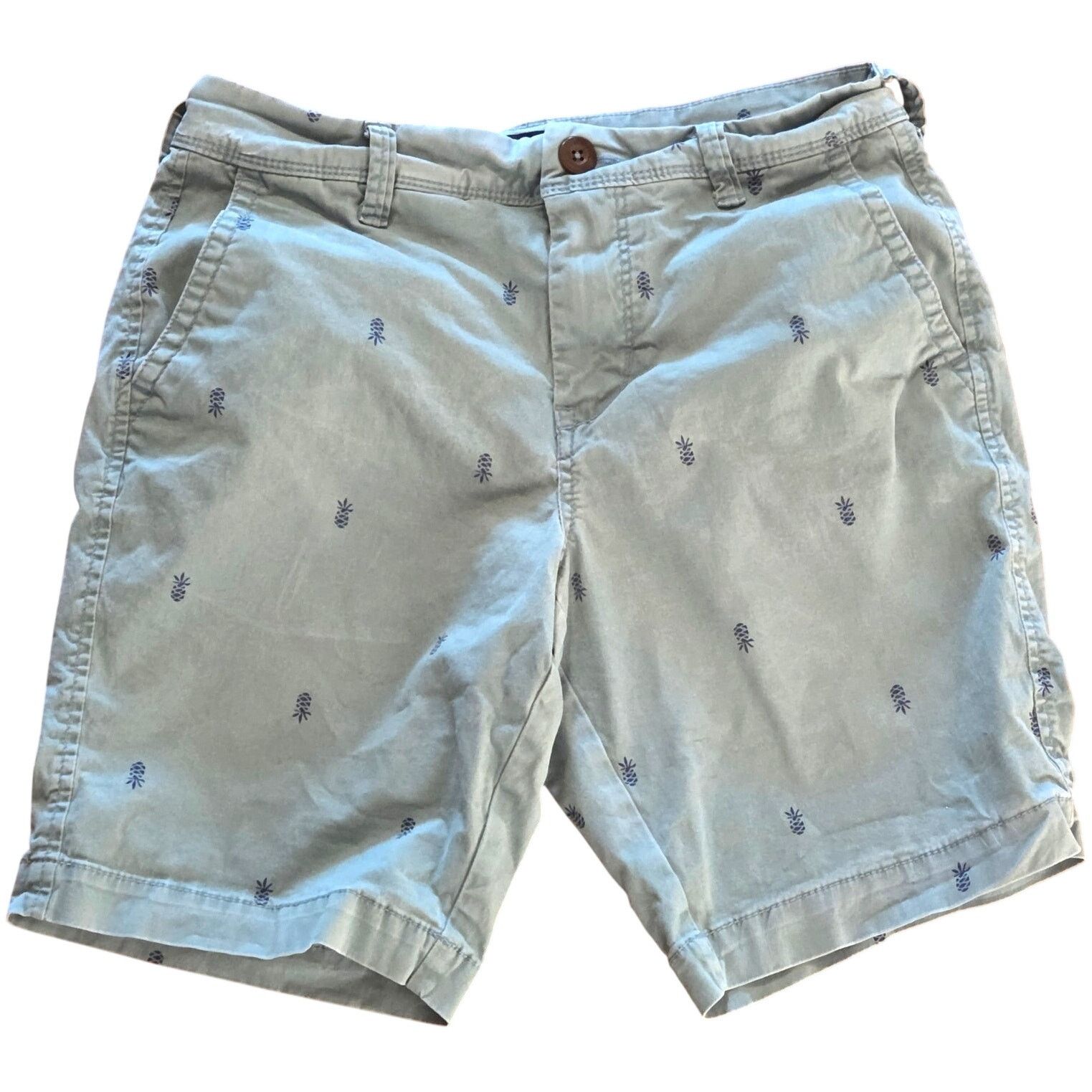 Abercrombie & Fitch Aéropostale Sky Blue Chino Pineapple Shorts - Size 27 Size US 27 - 1 Thumbnail