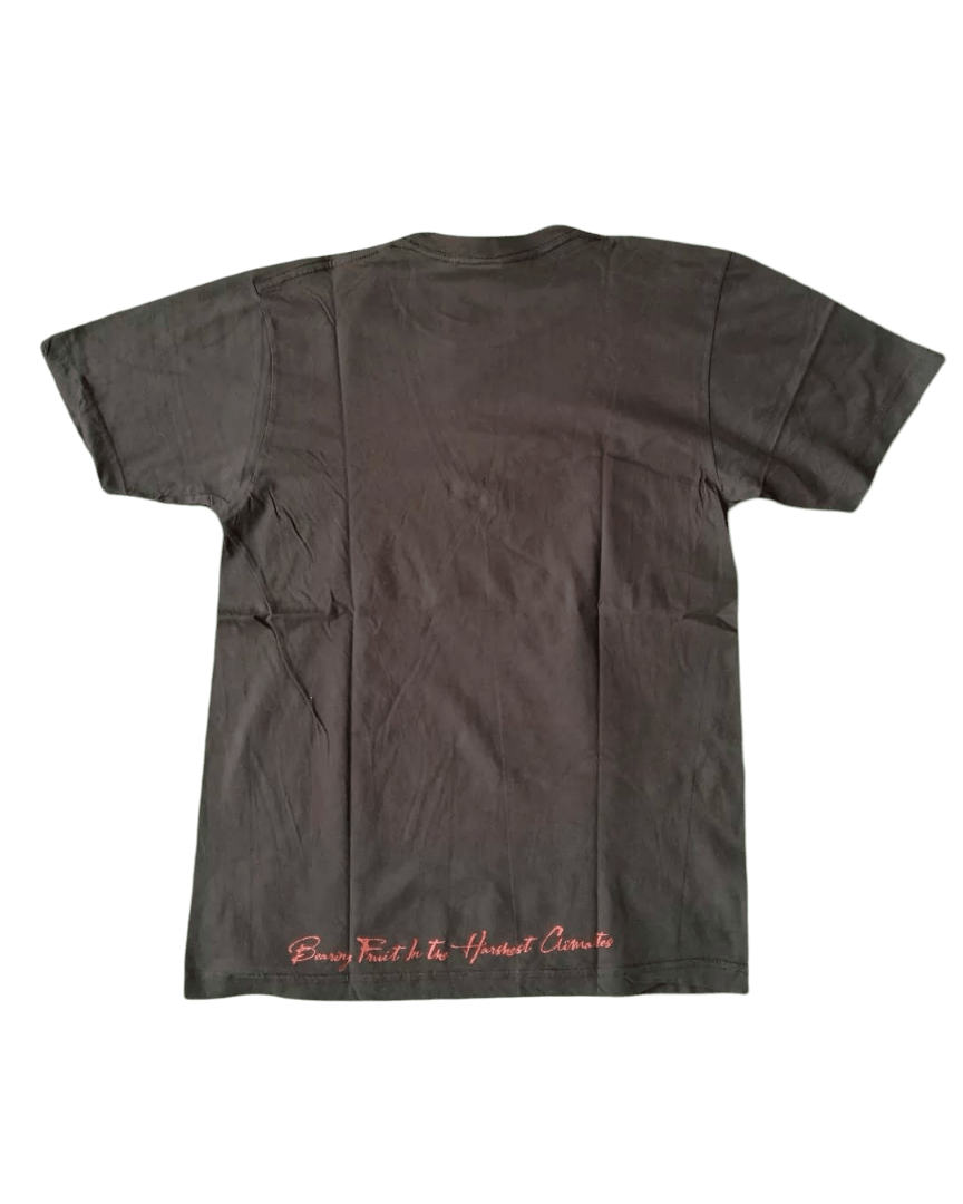 Japanese Brand × Vintage Nopal Apparel Head Art Brown Tees Size US S / EU 44-46 / 1 - 5 Thumbnail
