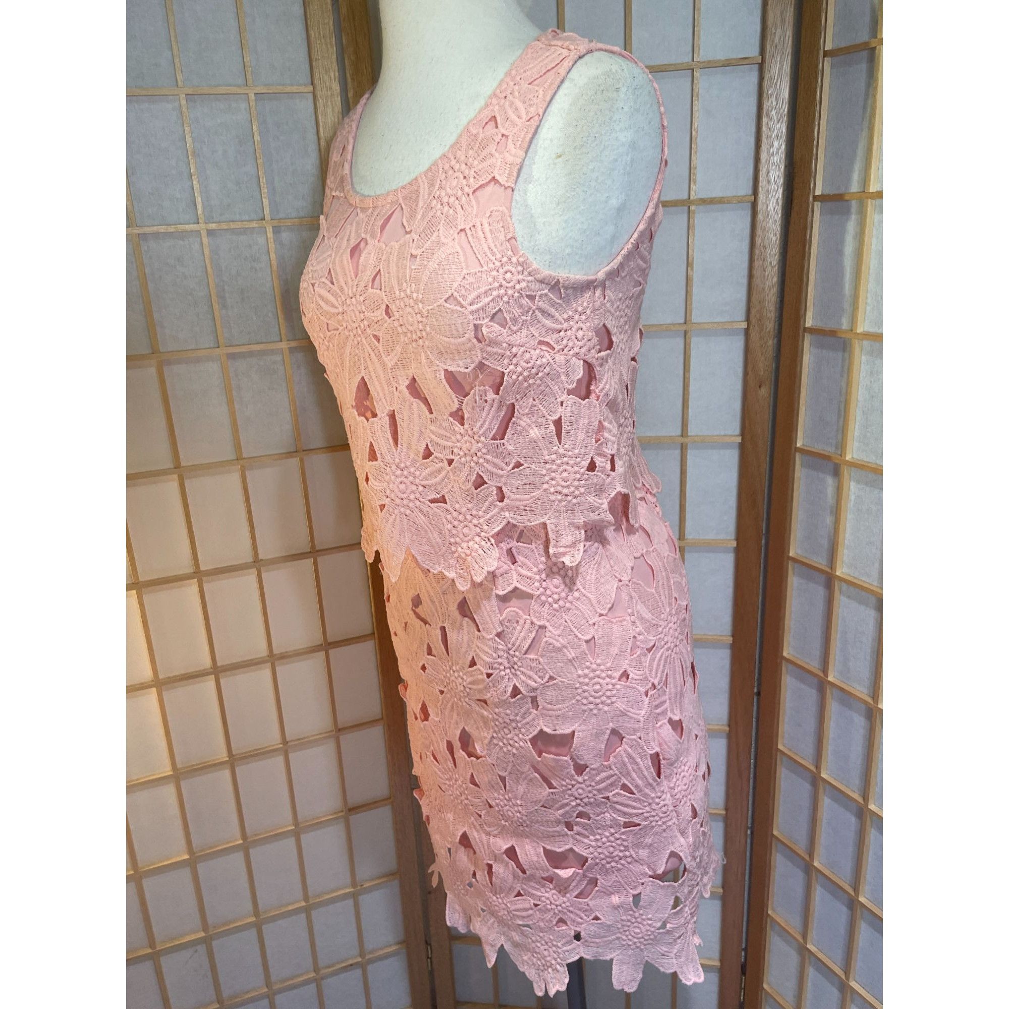Other Francesca's Miami Sm Lace Floral Dress Size S / US 4 / IT 40 - 15 Thumbnail