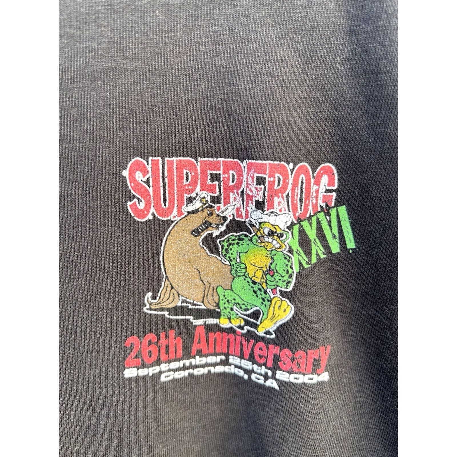 Jerzees VINTAGE Superfrog XVII Triathlon Shirt Mens Large Black 2004 Jerzees Distressed Long Sleeve Graphic Tee Size US L / EU 52-54 / 3 - 4 Thumbnail