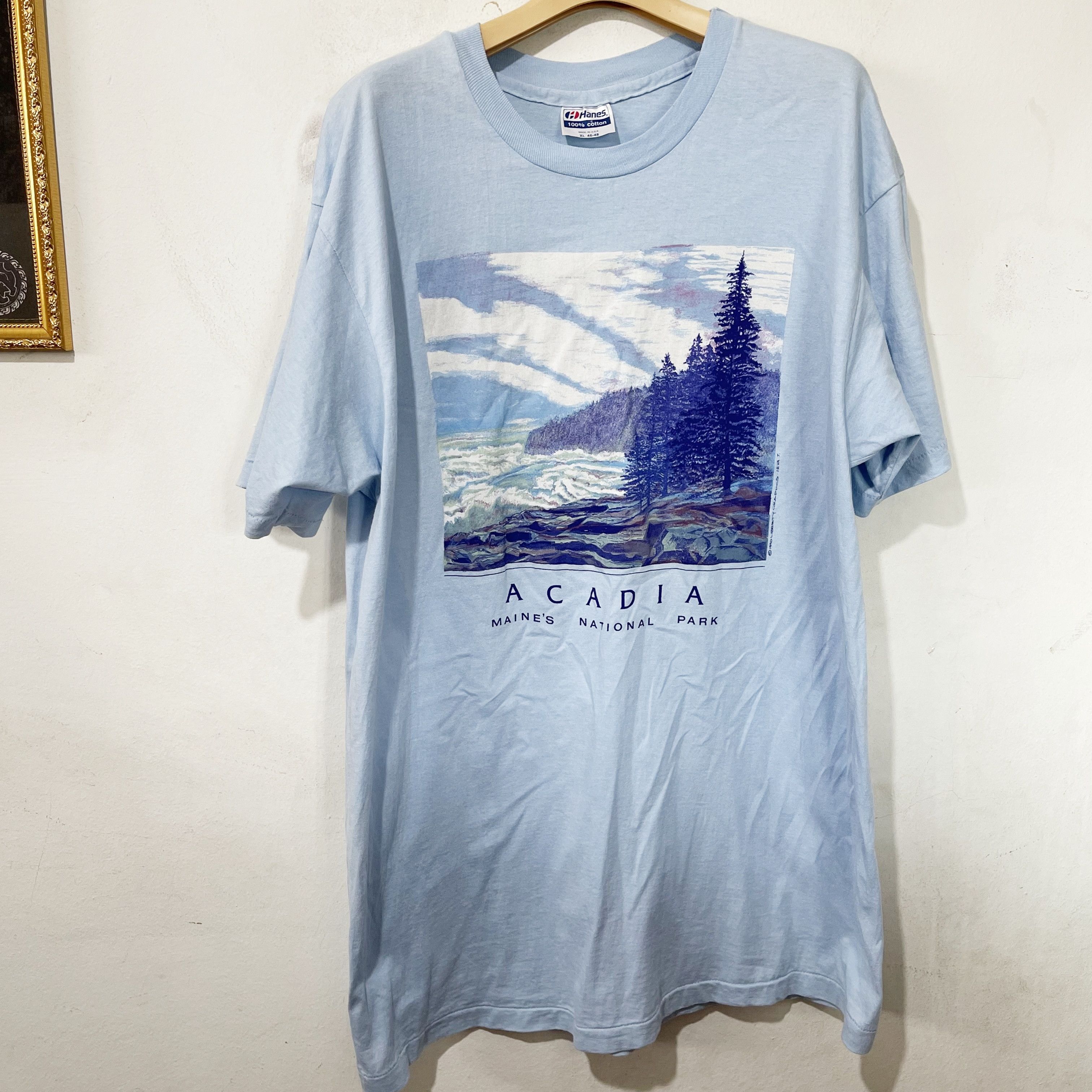 Vintage Vintage 90s Acadia National Park T-Shirt Size US L / EU 52-54 / 3 - 1 Thumbnail