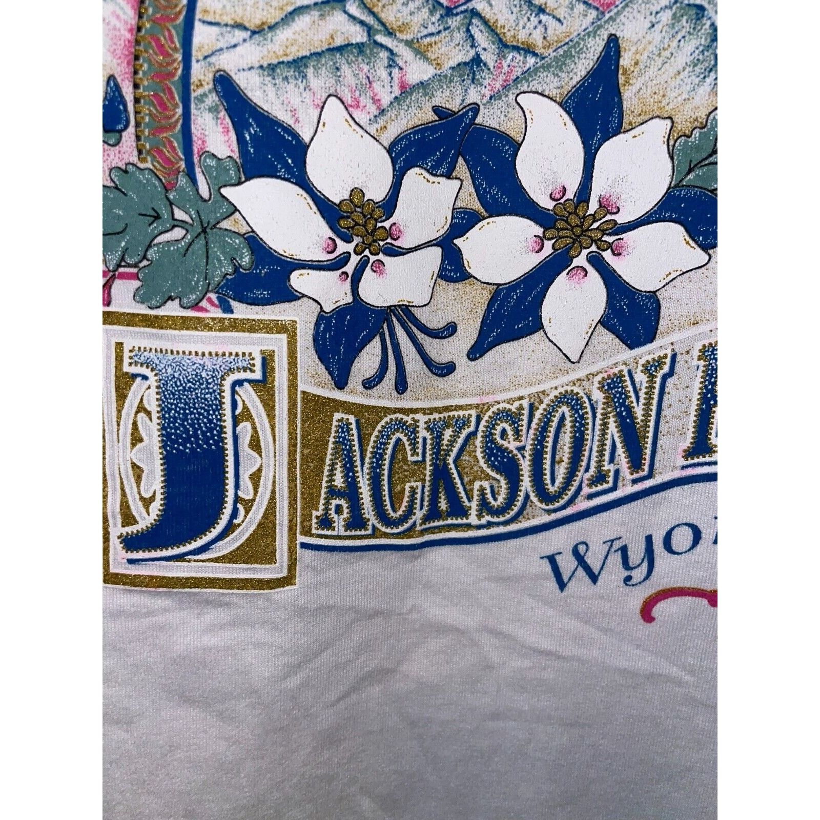 Jerzees Vintage Test Print Jackson Hole Wyoming Misprint White M Tee Size US M / EU 48-50 / 2 - 5 Thumbnail