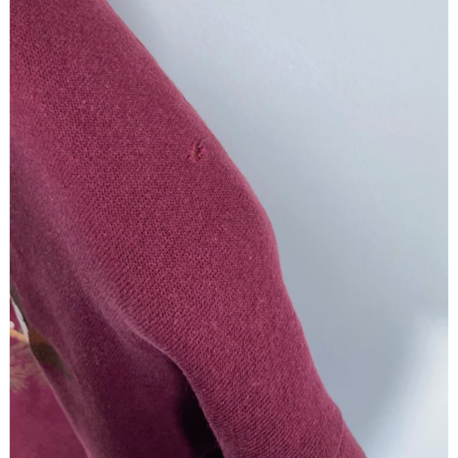 Endless VINTAGE Endless Designs Sweatshirt Woman Adult Large Dark Red 90s Bird Cat Nature Outdoor Raglan Crew Neck Pullover Graphic Print Cotton Blend Fleece Size L / US 10 / IT 46 - 6 Thumbnail