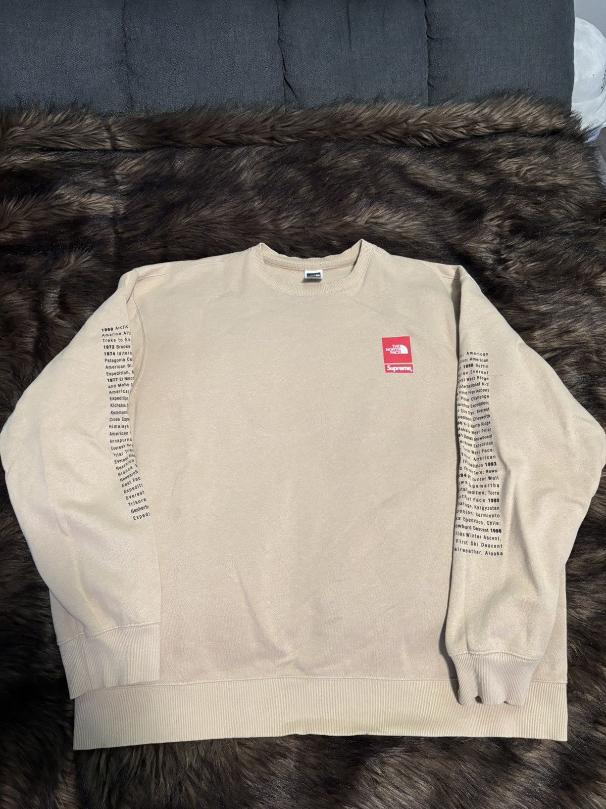 Supreme × The North Face Supreme x The North Face 2024 Tan  