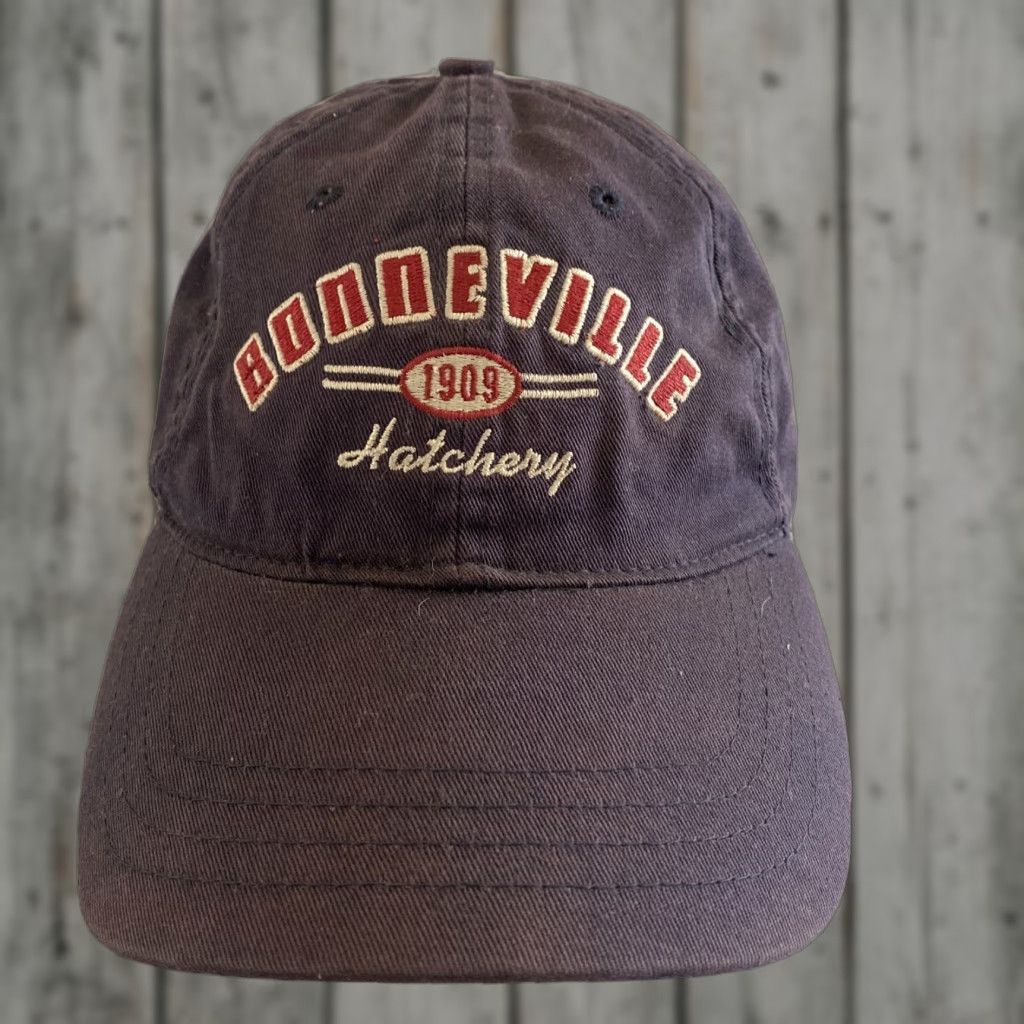 Bally VINTAGE Bonneville Hatchery Ball Cap Adjustable Blue Men Adjustable Size Modern Era Baseball Hat Boys Womens? Size ONE SIZE - 1 Thumbnail