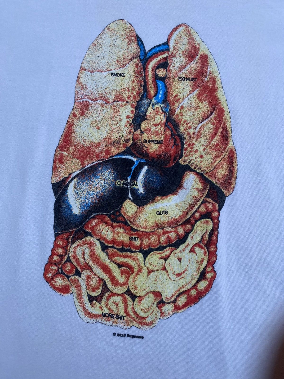 Supreme SUPREME GUTS TEE Size US S / EU 44-46 / 1 - 3 Thumbnail
