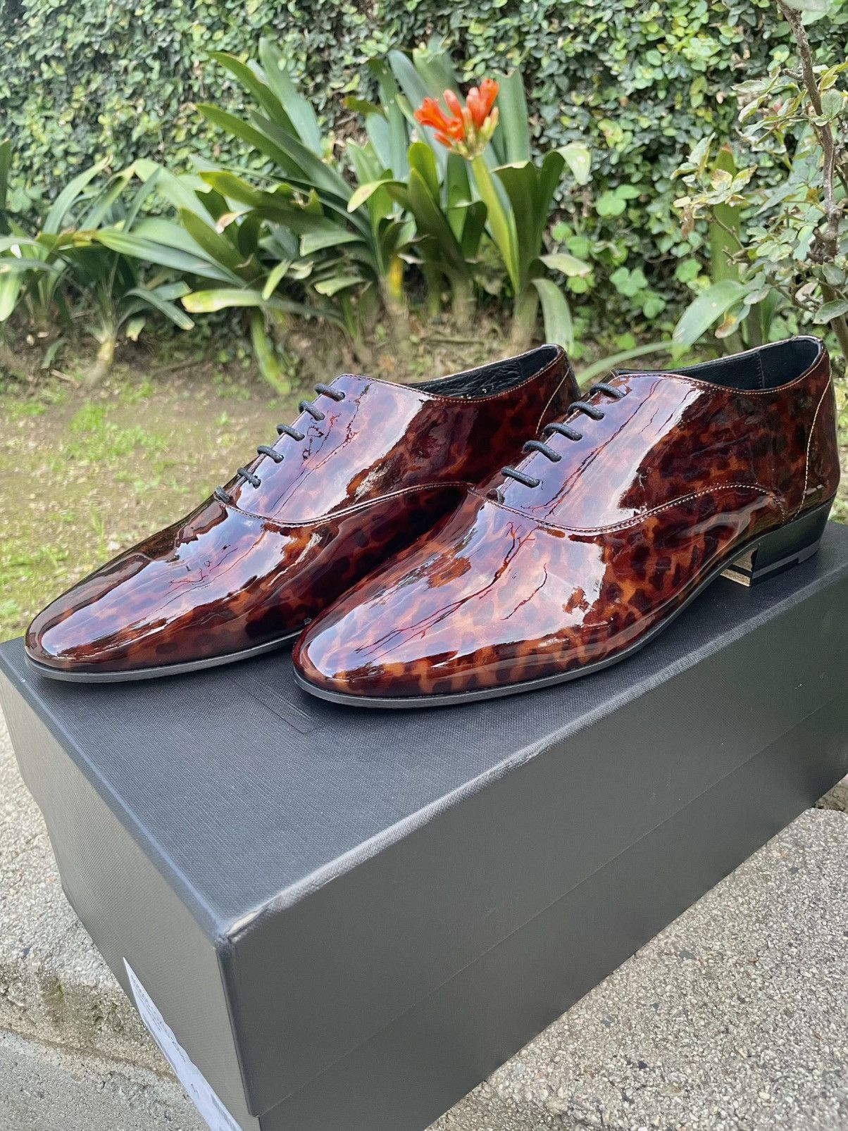 Saint Laurent Paris SLP Runway Patent Leather Lace Up Oxford Shoes Tortoise Size US 8 / EU 41 - 8 Thumbnail