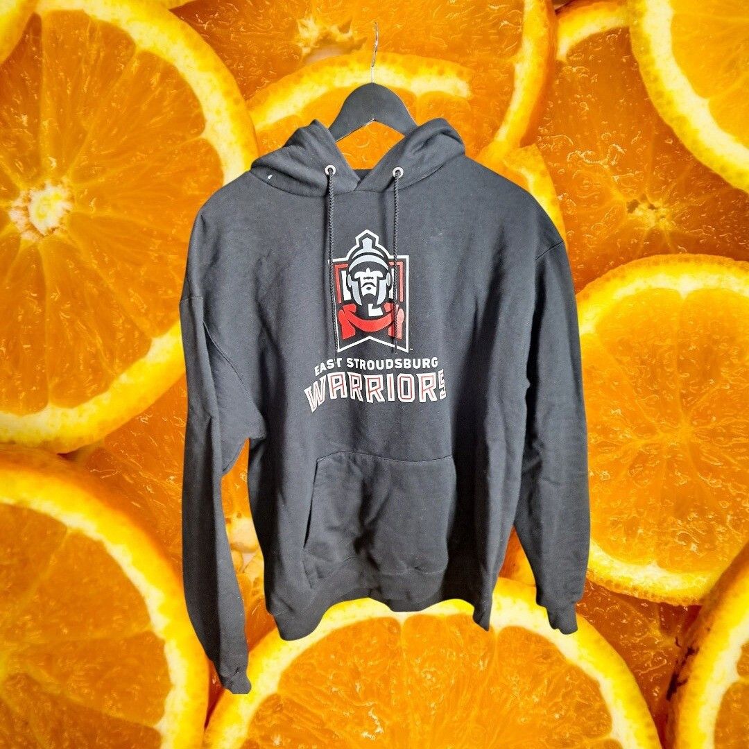 Champion Champion Hoodie East Stroudsburg Warriors Graphic Pullover S Size US L / EU 52-54 / 3 - 2 Thumbnail