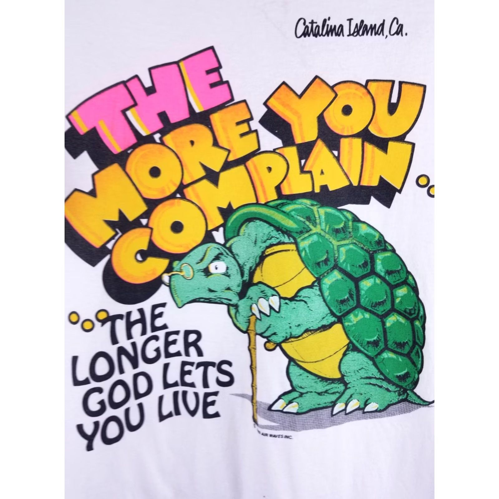 Hanes VINTAGE 89' TURTLE WHITE T-SHIRT SZ L 90s SINGLE STITCH 50/50 Size US L / EU 52-54 / 3 - 2 Thumbnail