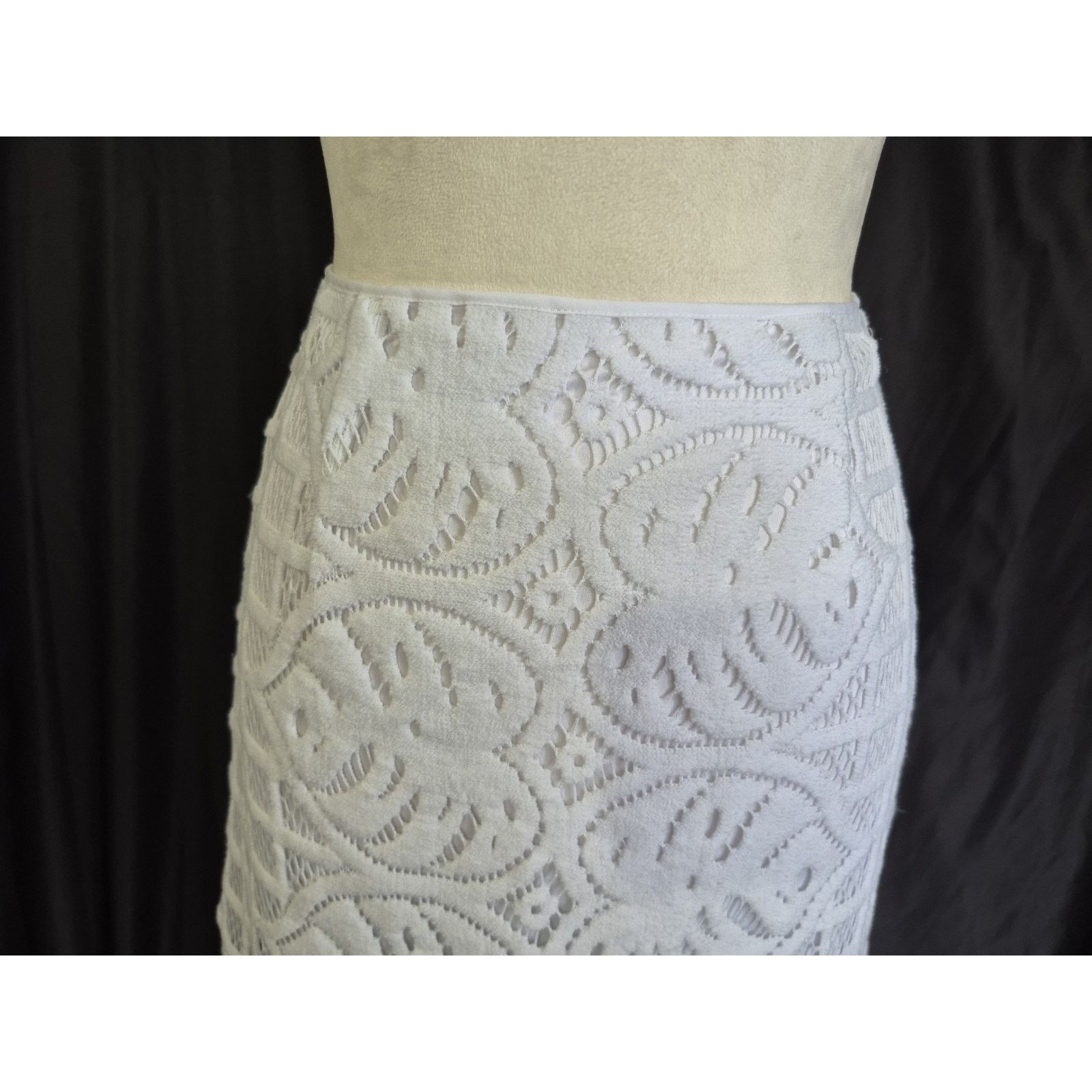 Lilly Pulitzer Lilly Pulitzer White Leafy Lace Pencil Side Zip-Up Skirt XS Size 25" / US 0 / IT 36 - 6 Thumbnail
